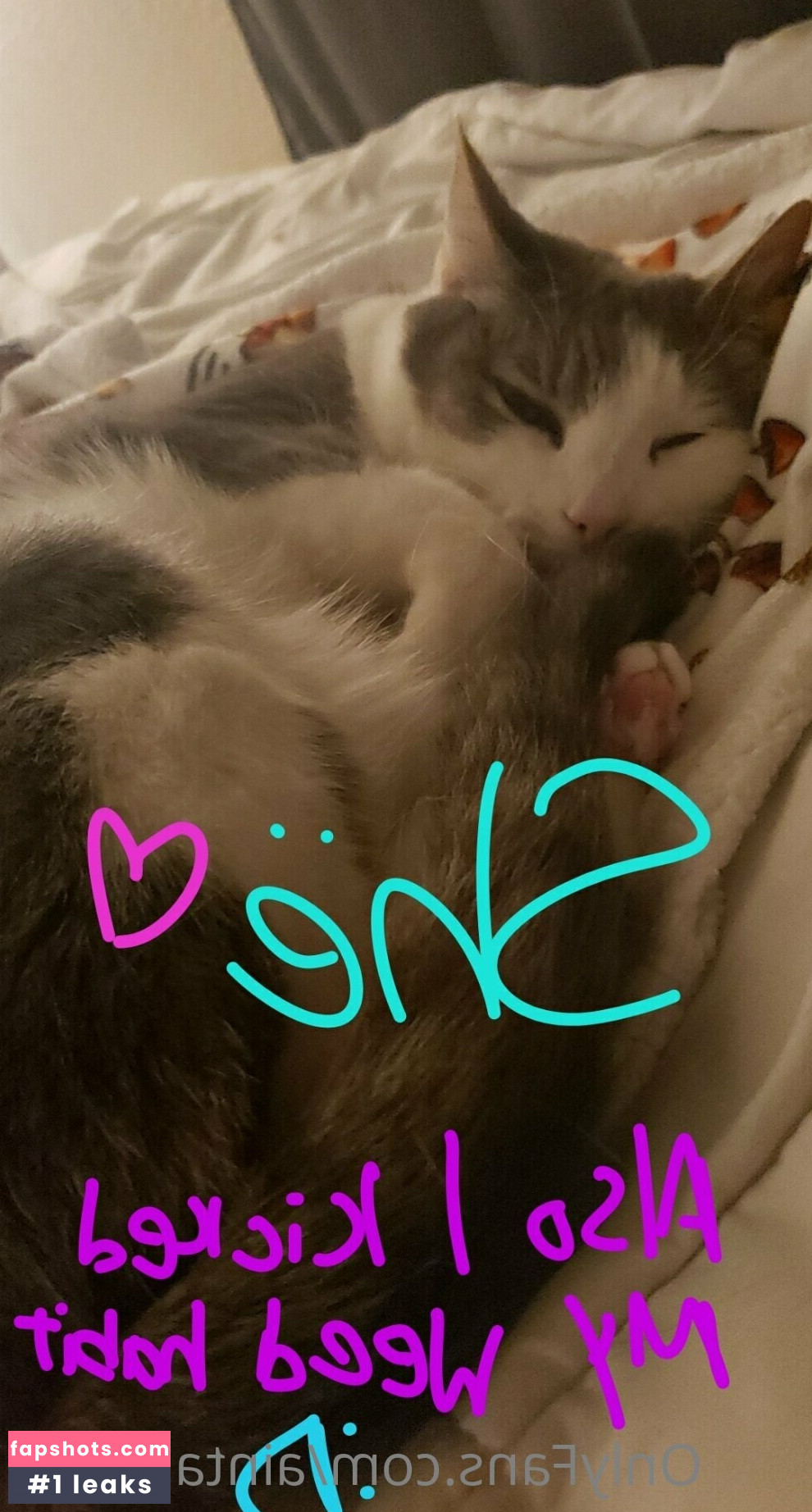 Aintapuppy Filtración Desnuda OnlyFans Foto #5 - Fapshots