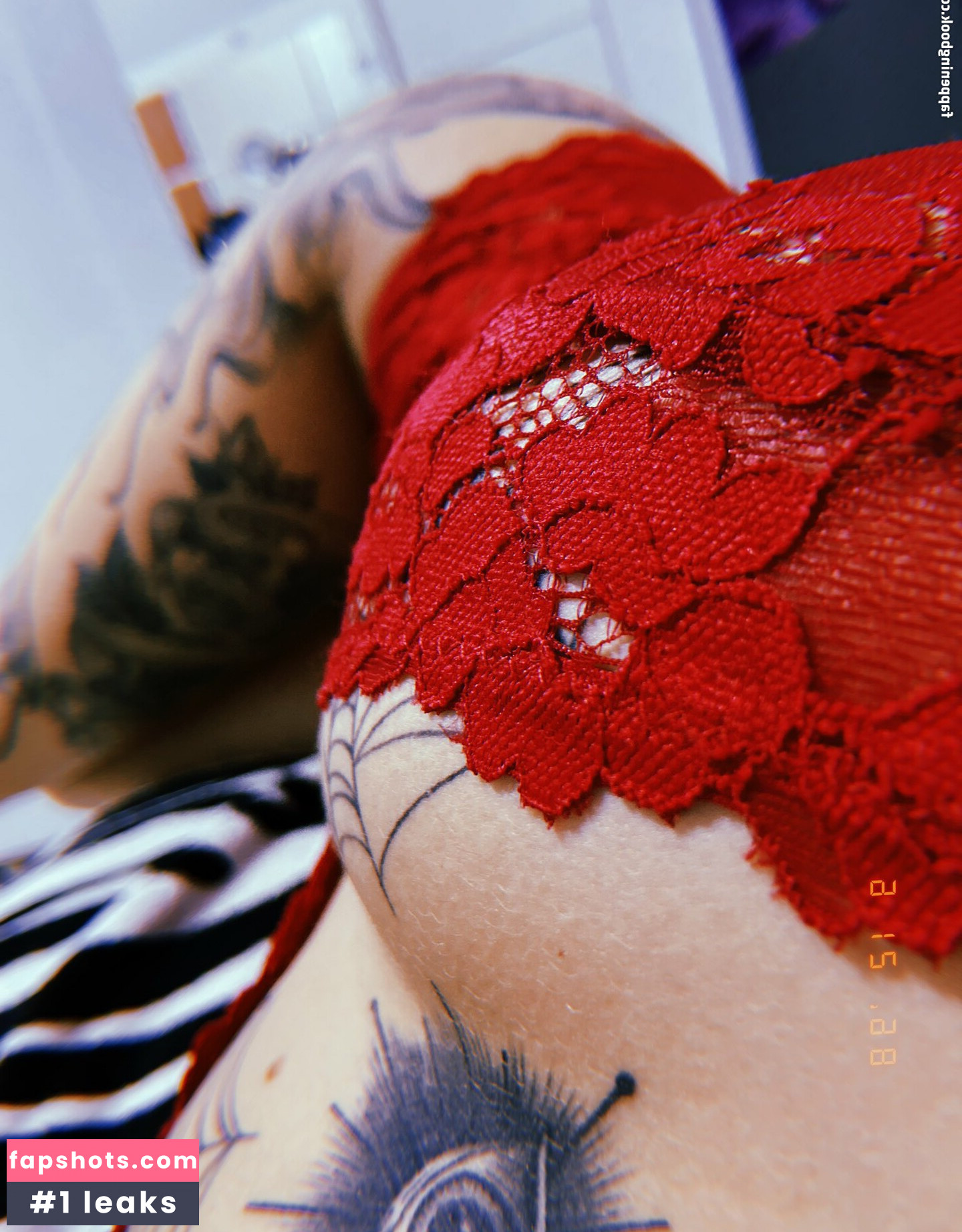 Aisha.Tuchinscky gallery photo #6