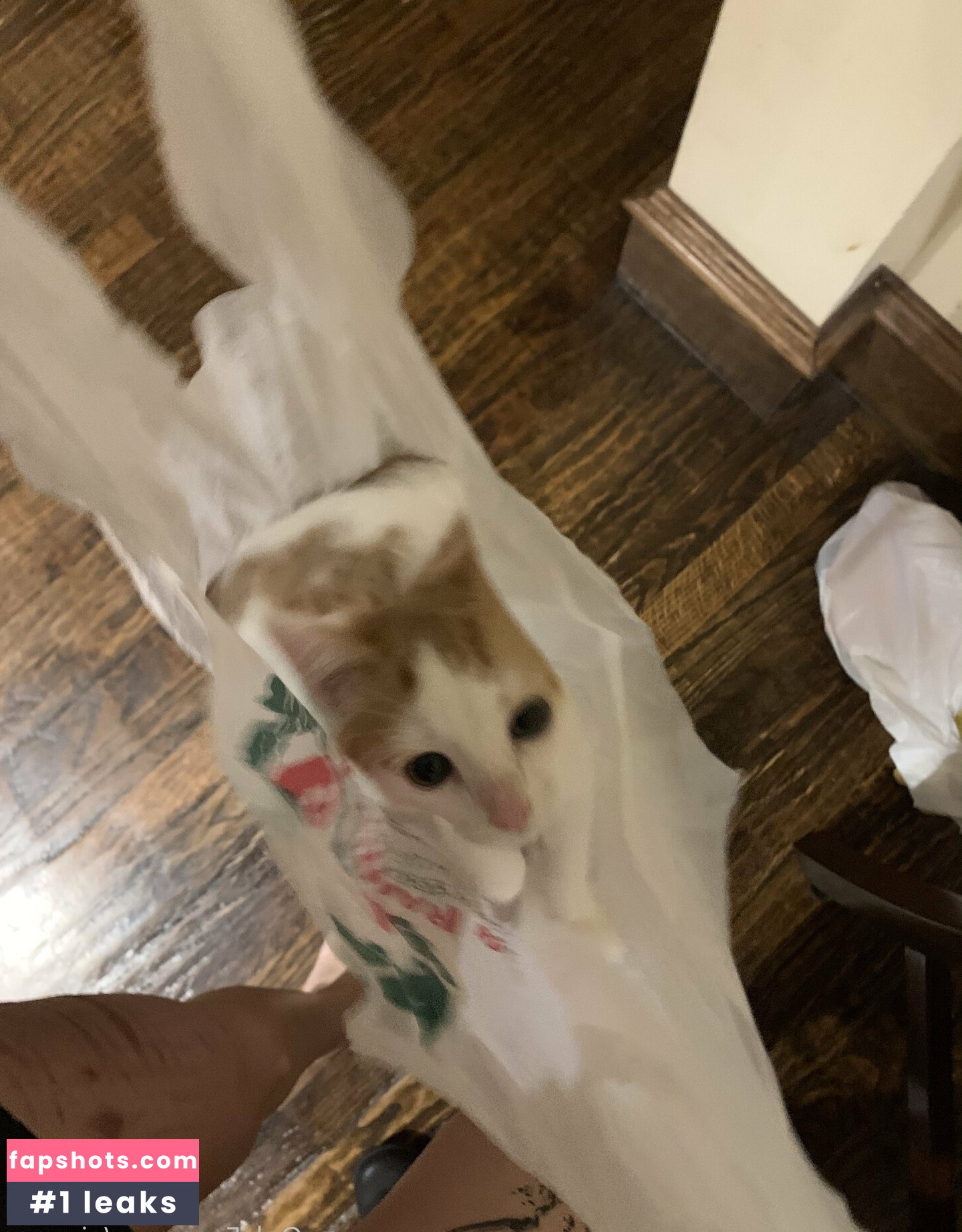 aiyuens gallery photo #41