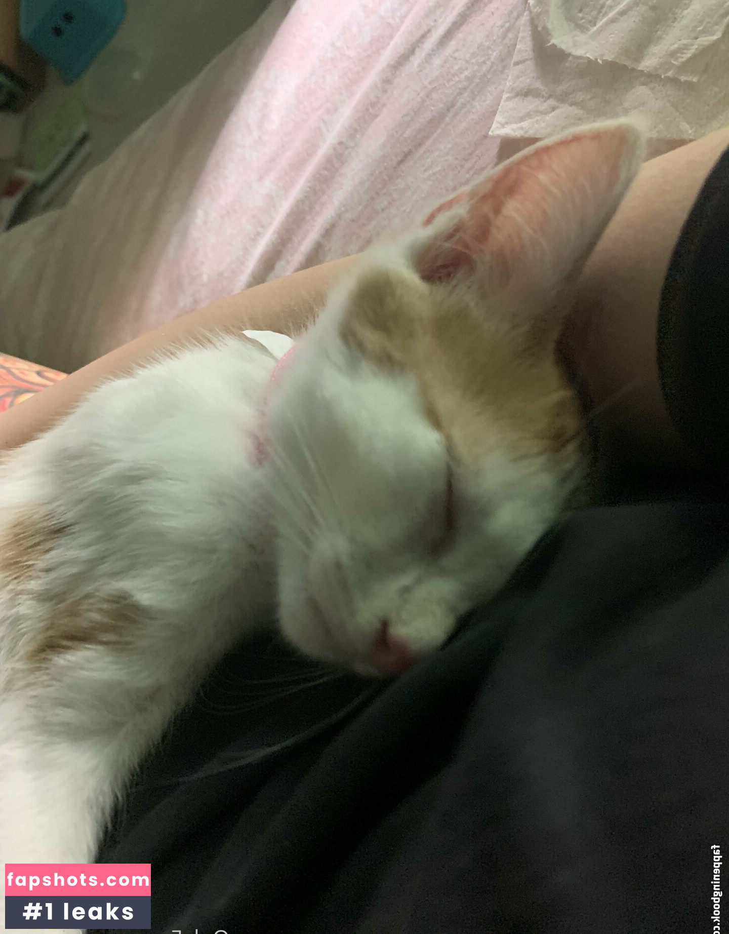 aiyuens gallery photo #44