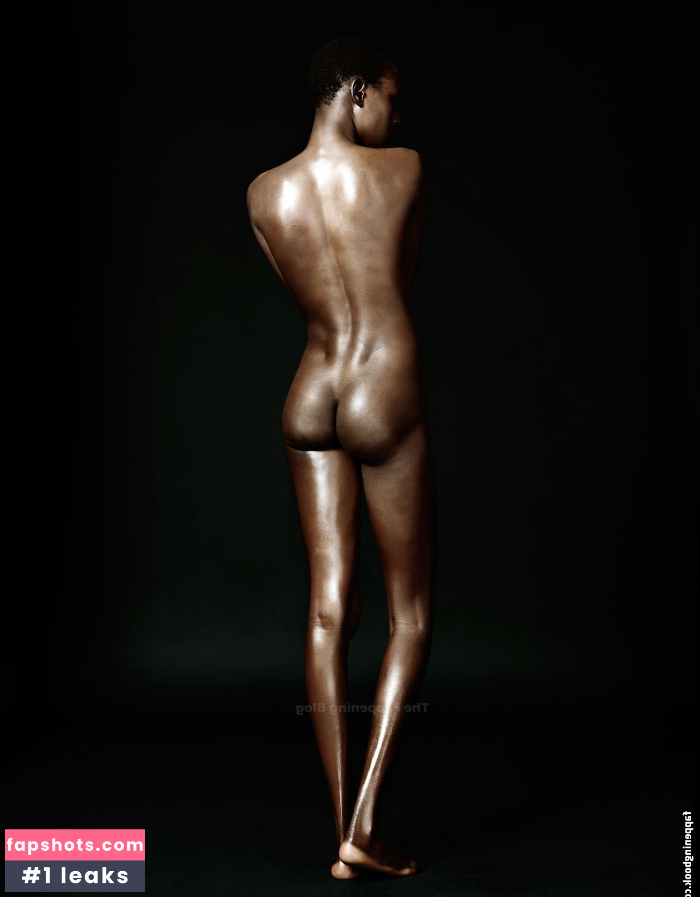 Ajak Deng gallery photo #3