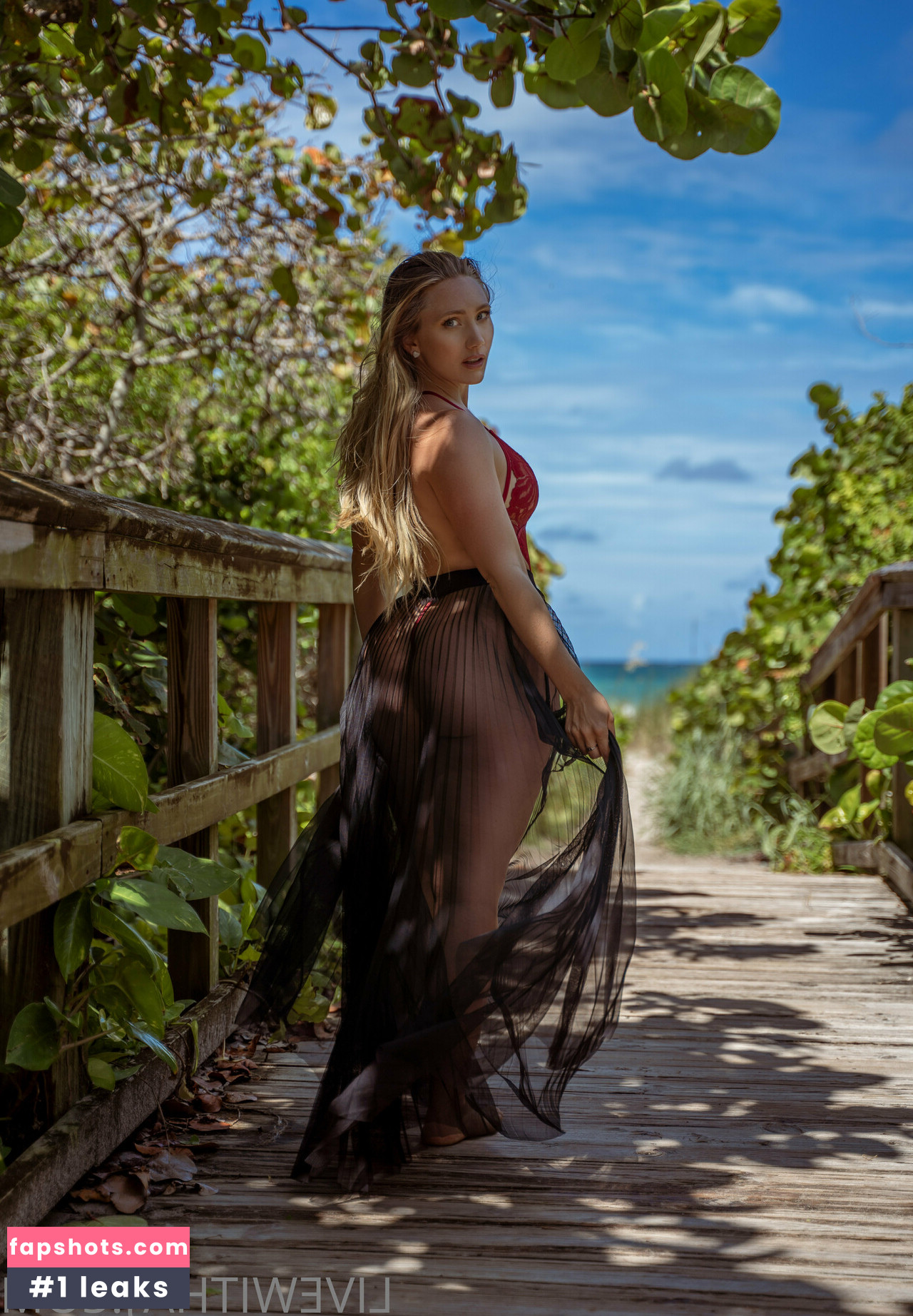 ajapplegatevip gallery photo #83