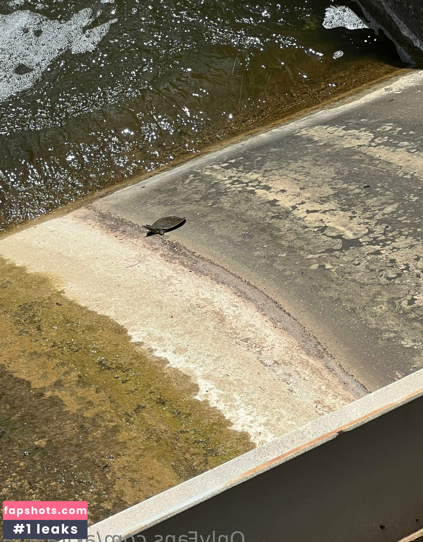 akiraalita Nude Leaks OnlyFans Photos #14 - Fapshots