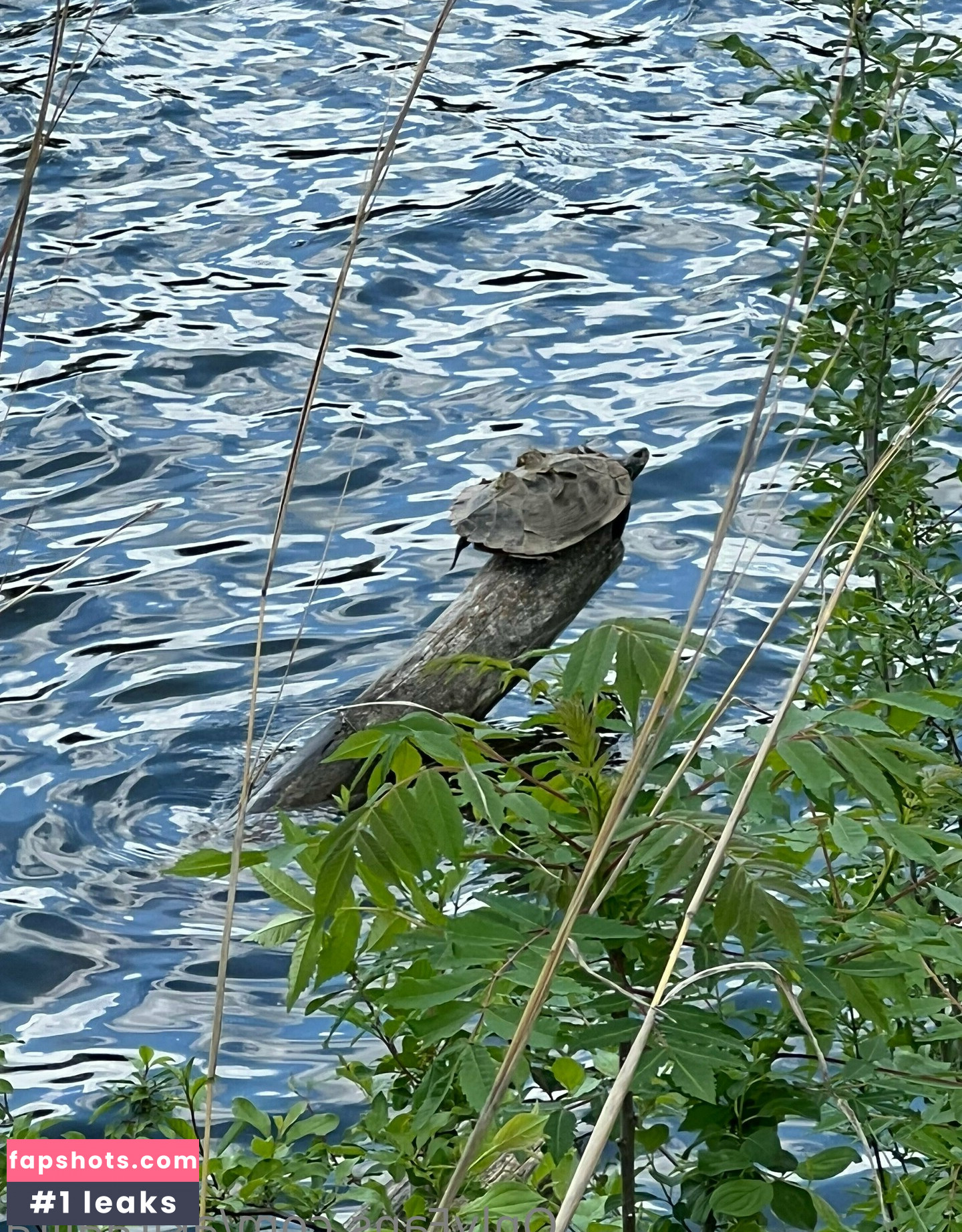 akiraalita Nude Leaks OnlyFans Photos #22 - Fapshots