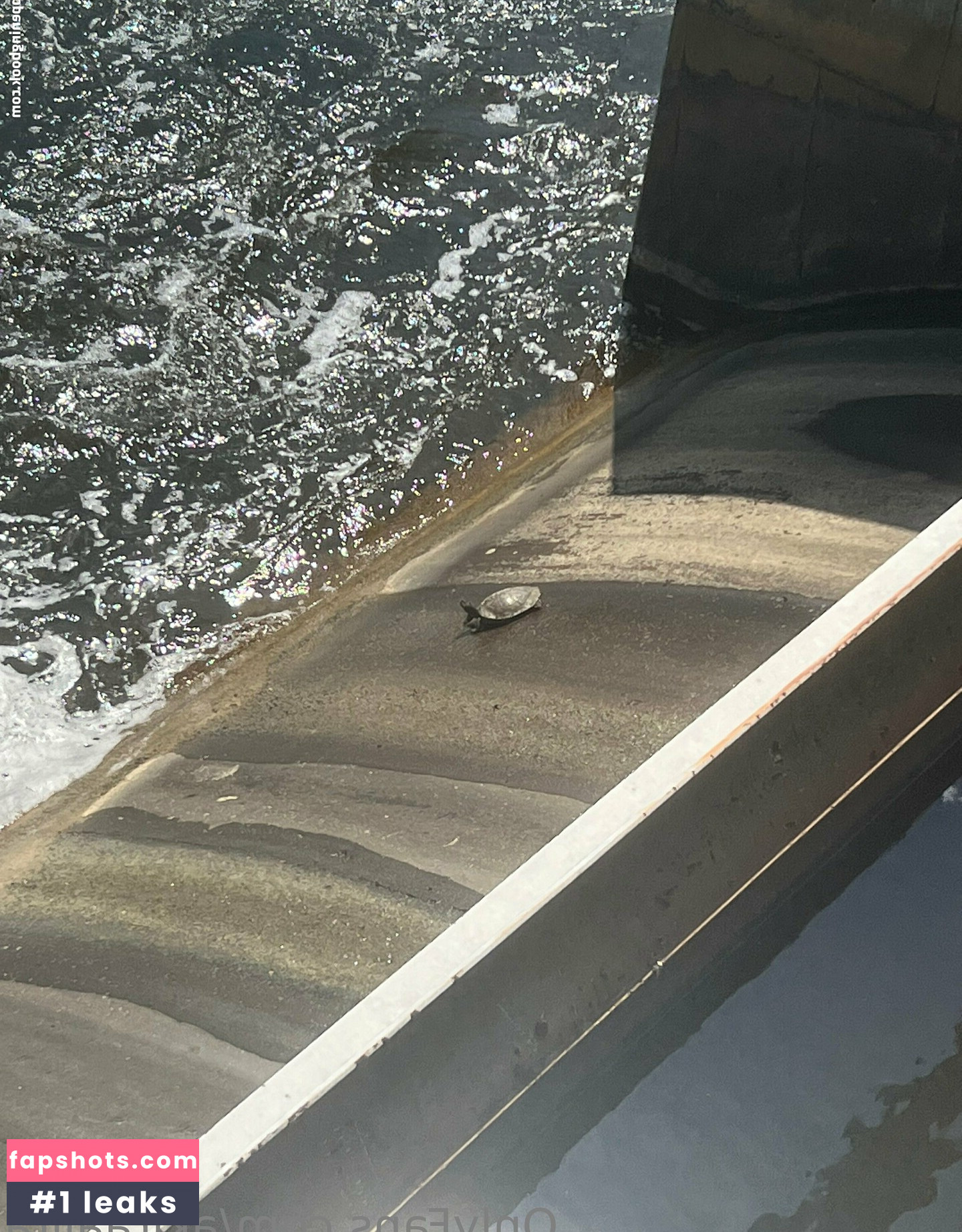 akiraalita Nude Leaks OnlyFans Photos #5 - Fapshots