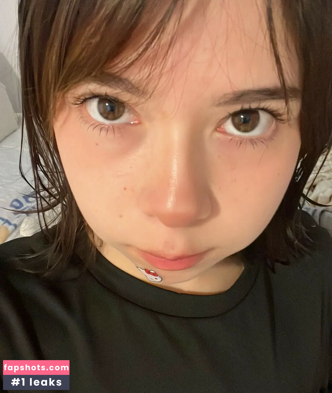 ale.zrm gallery photo #13