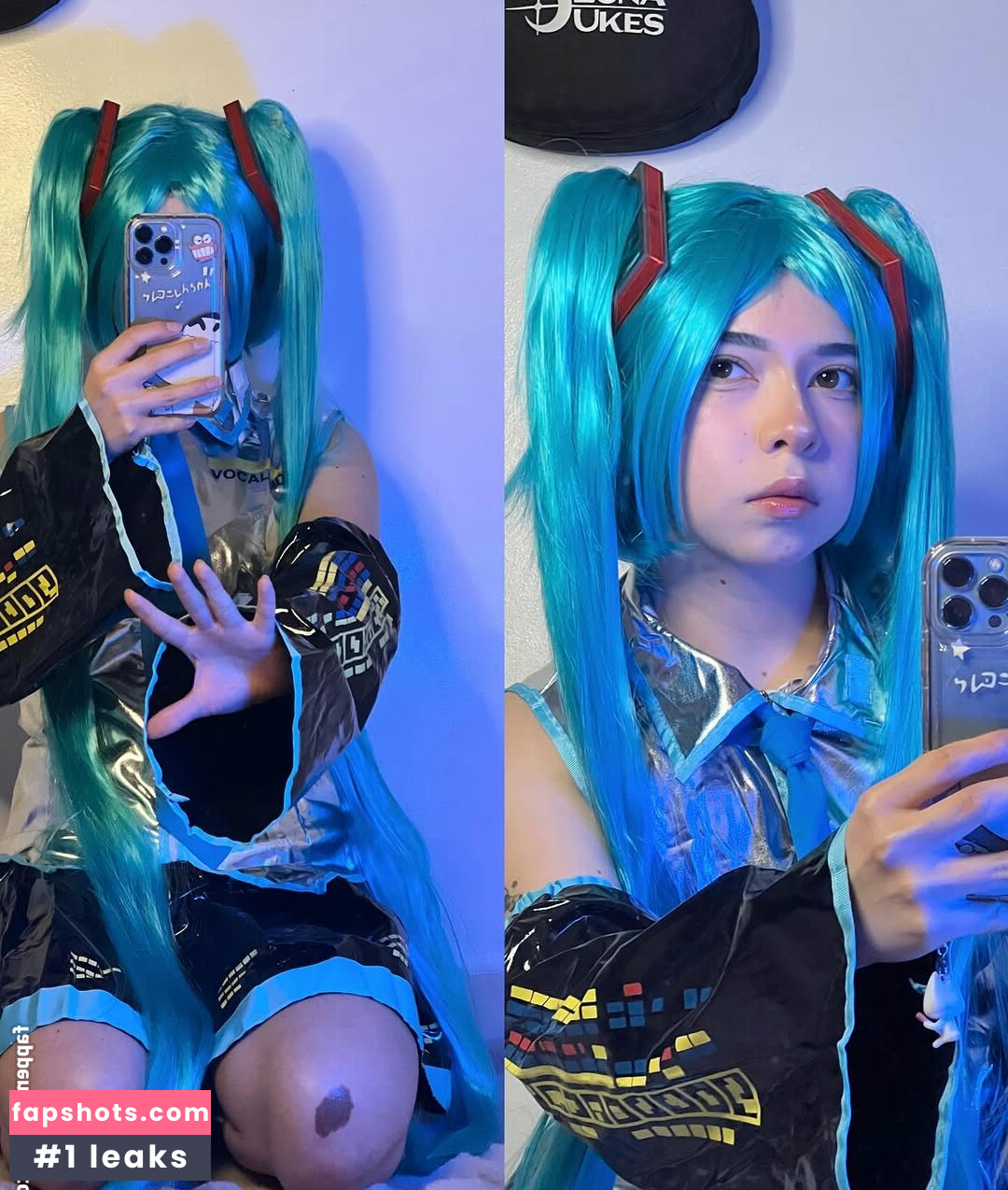 ale.zrm gallery photo #23