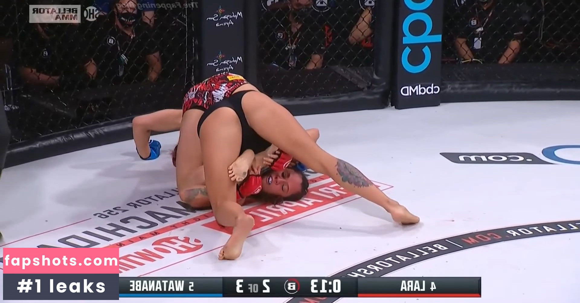 Alejandra Lara gallery photo #2