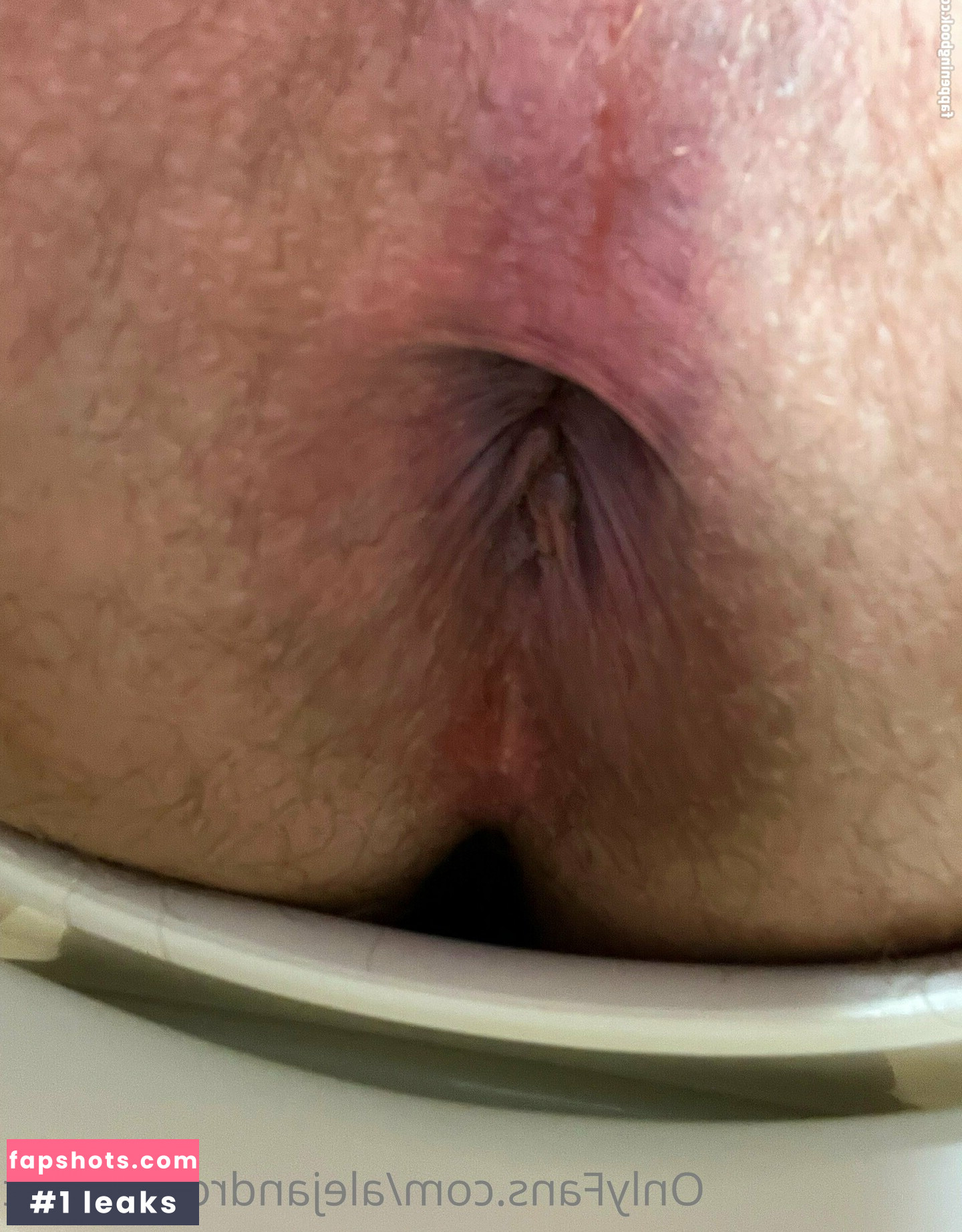 alejandrobelmont gallery photo #12