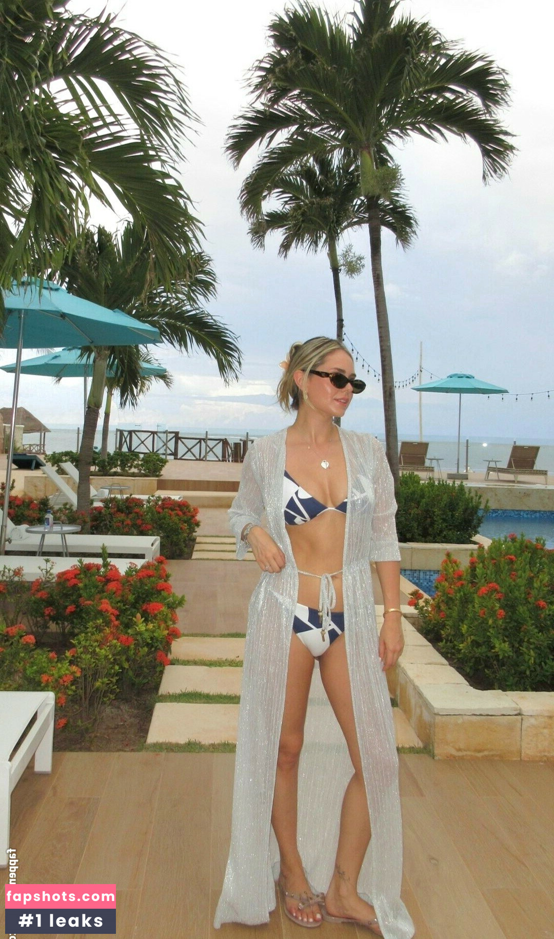 Aleropre gallery photo #4