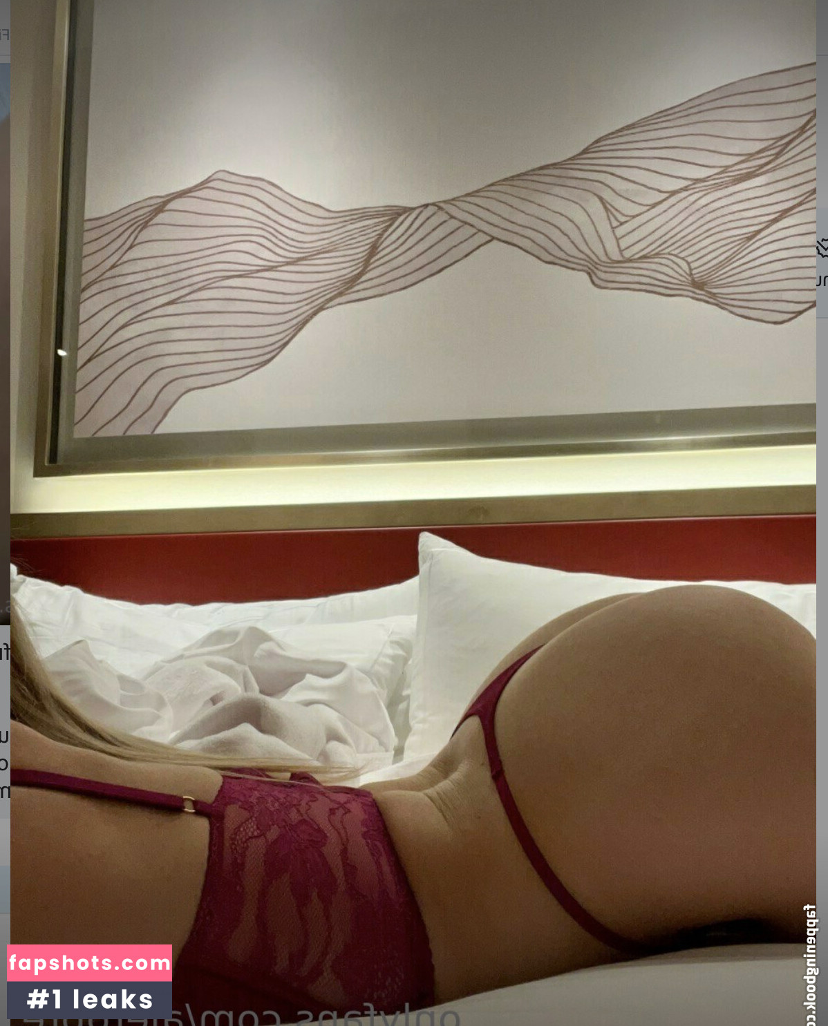 Aleropre gallery photo #90