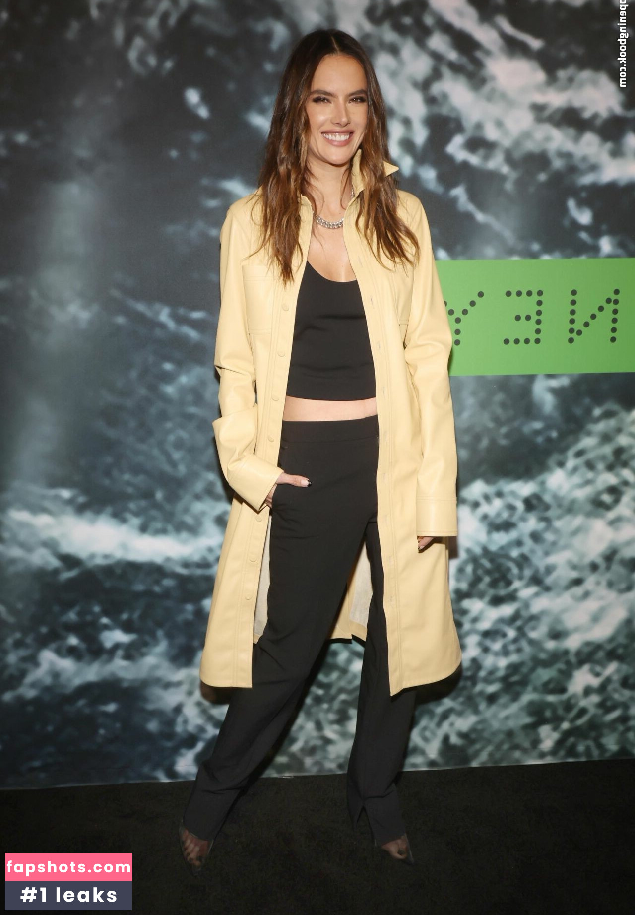 Alessandra Ambrosio gallery photo #1289