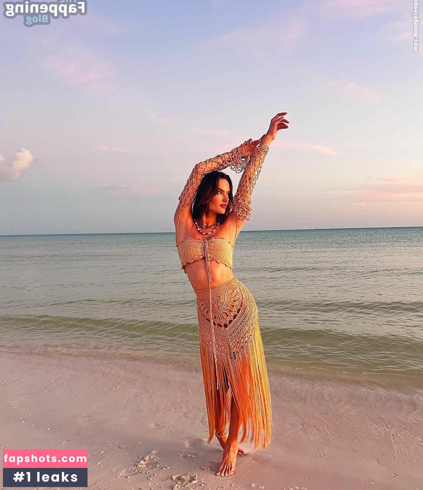 Alessandra Ambrosio gallery photo #1336