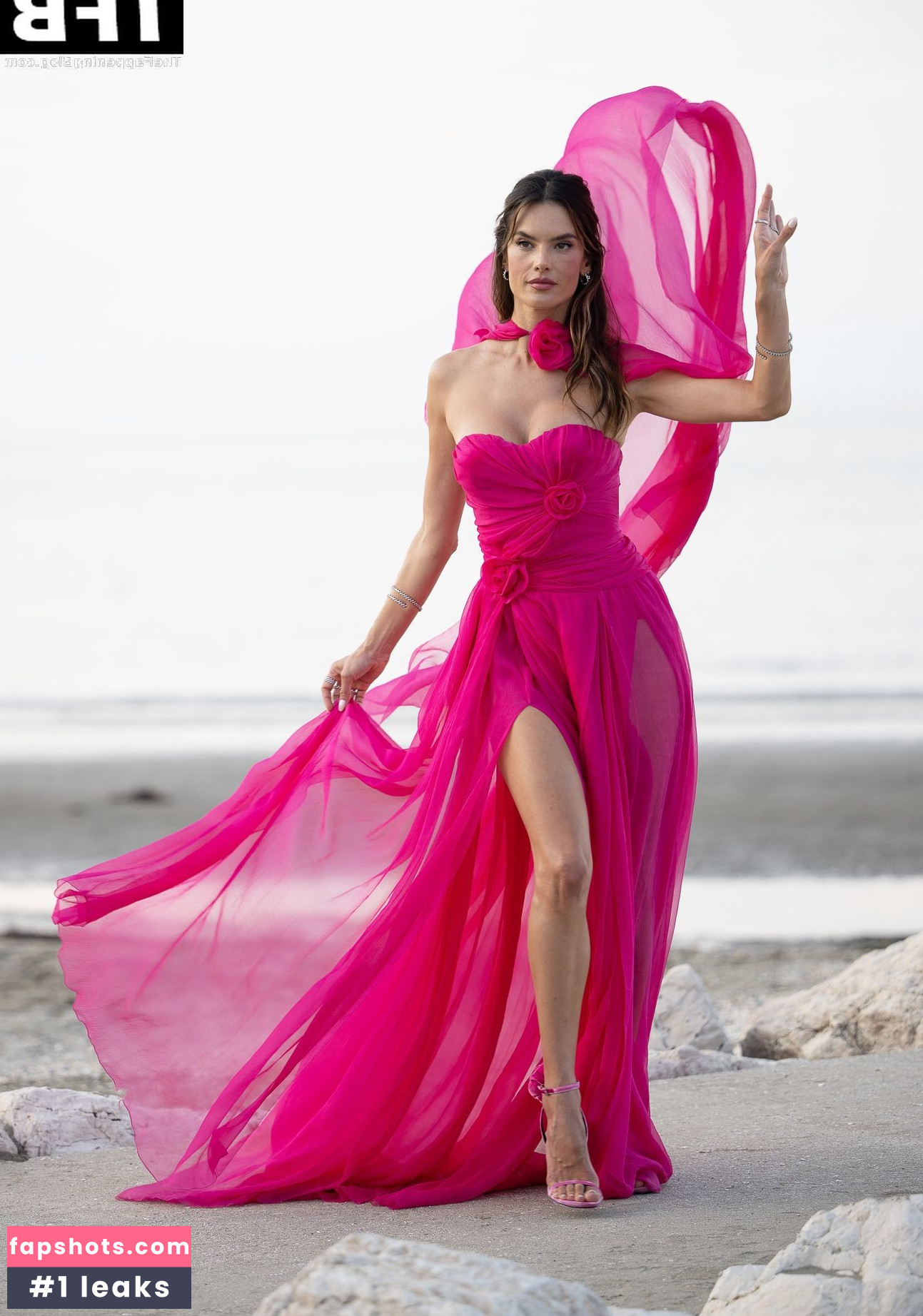 Alessandra Ambrosio gallery photo #1485