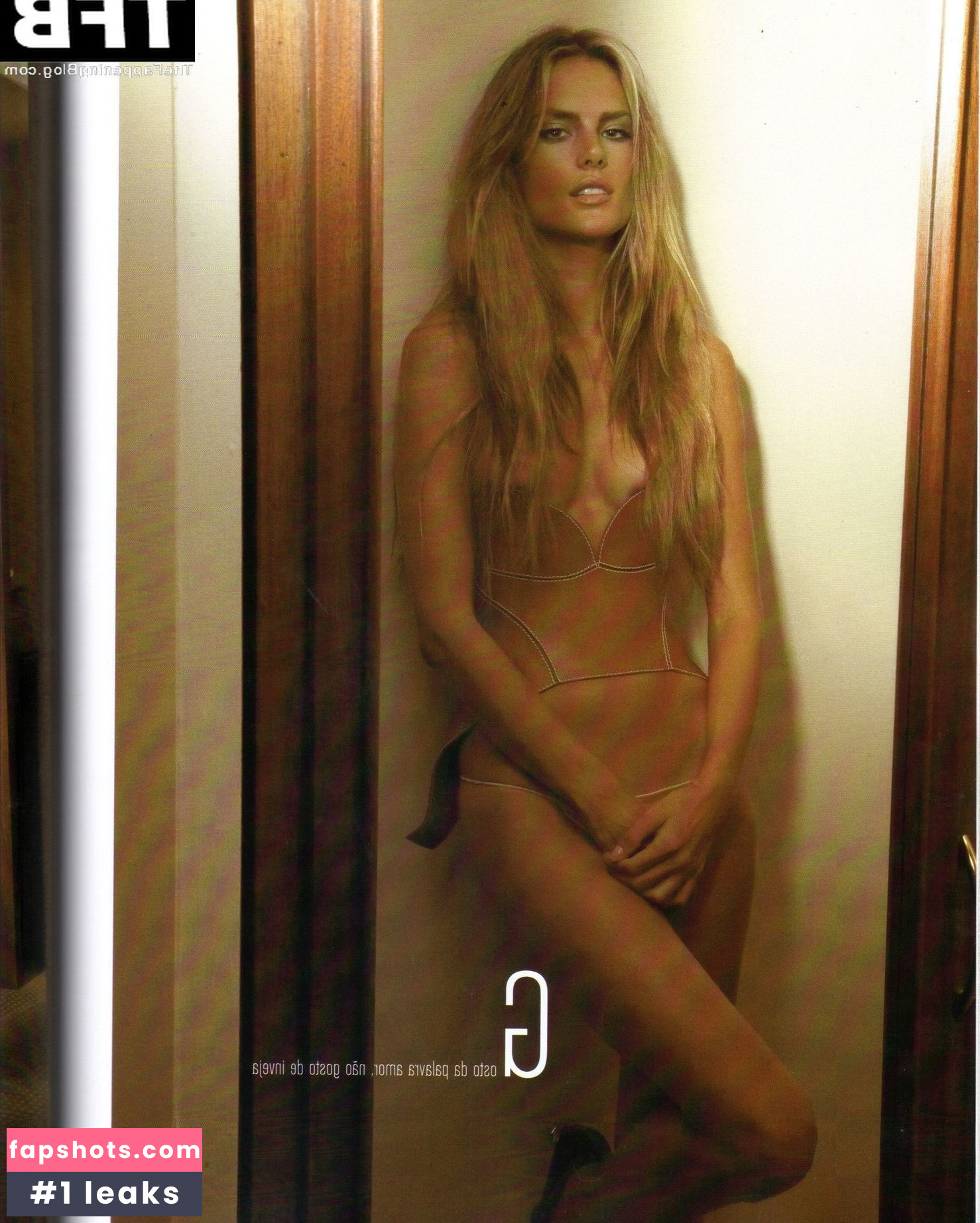 Alessandra Ambrosio gallery photo #1655