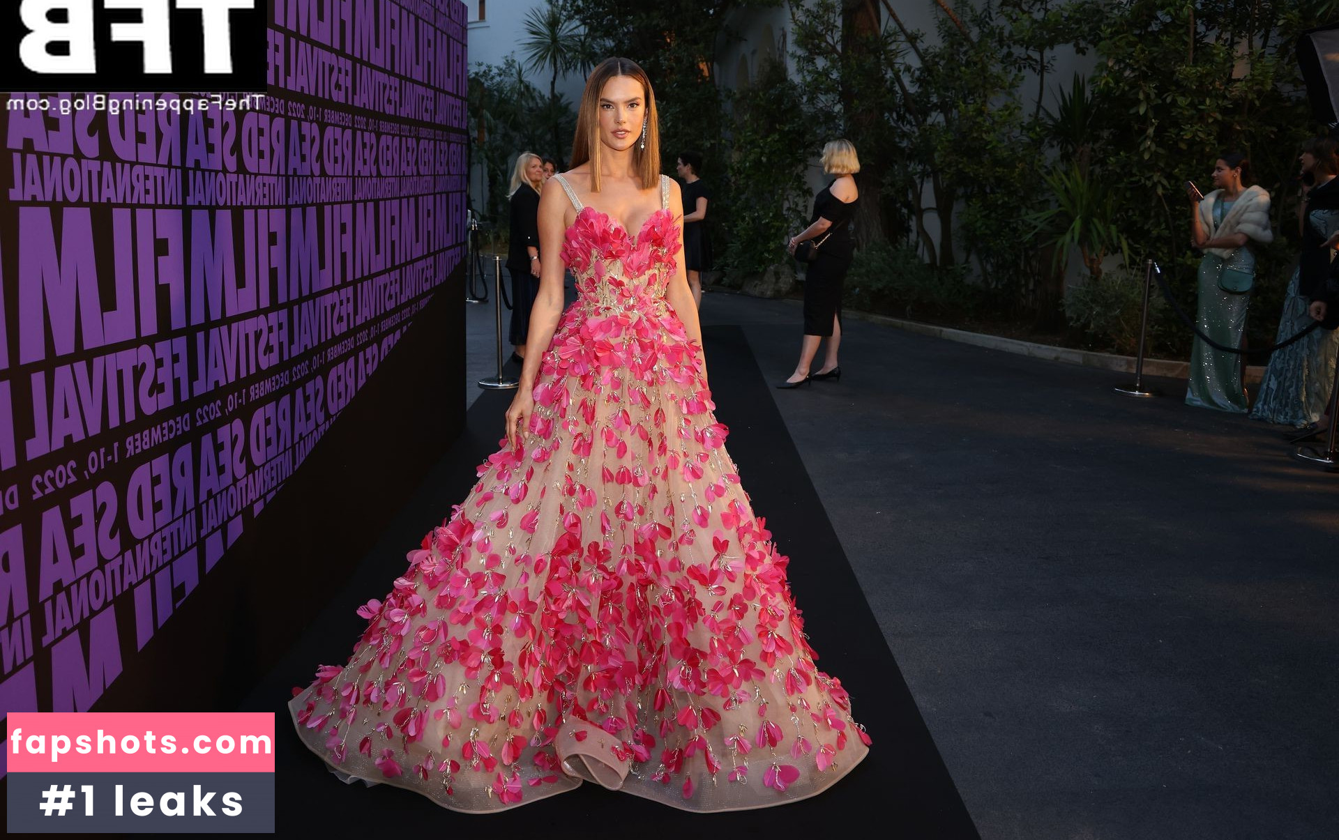 Alessandra Ambrosio gallery photo #1872