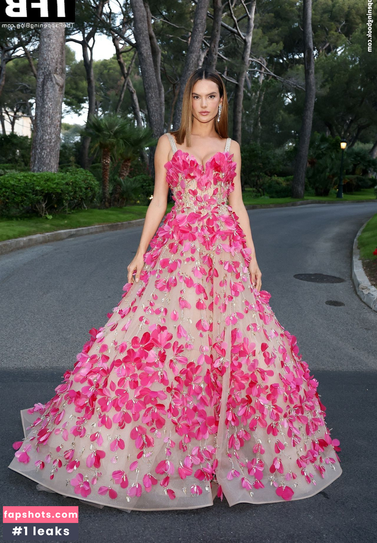 Alessandra Ambrosio gallery photo #1877