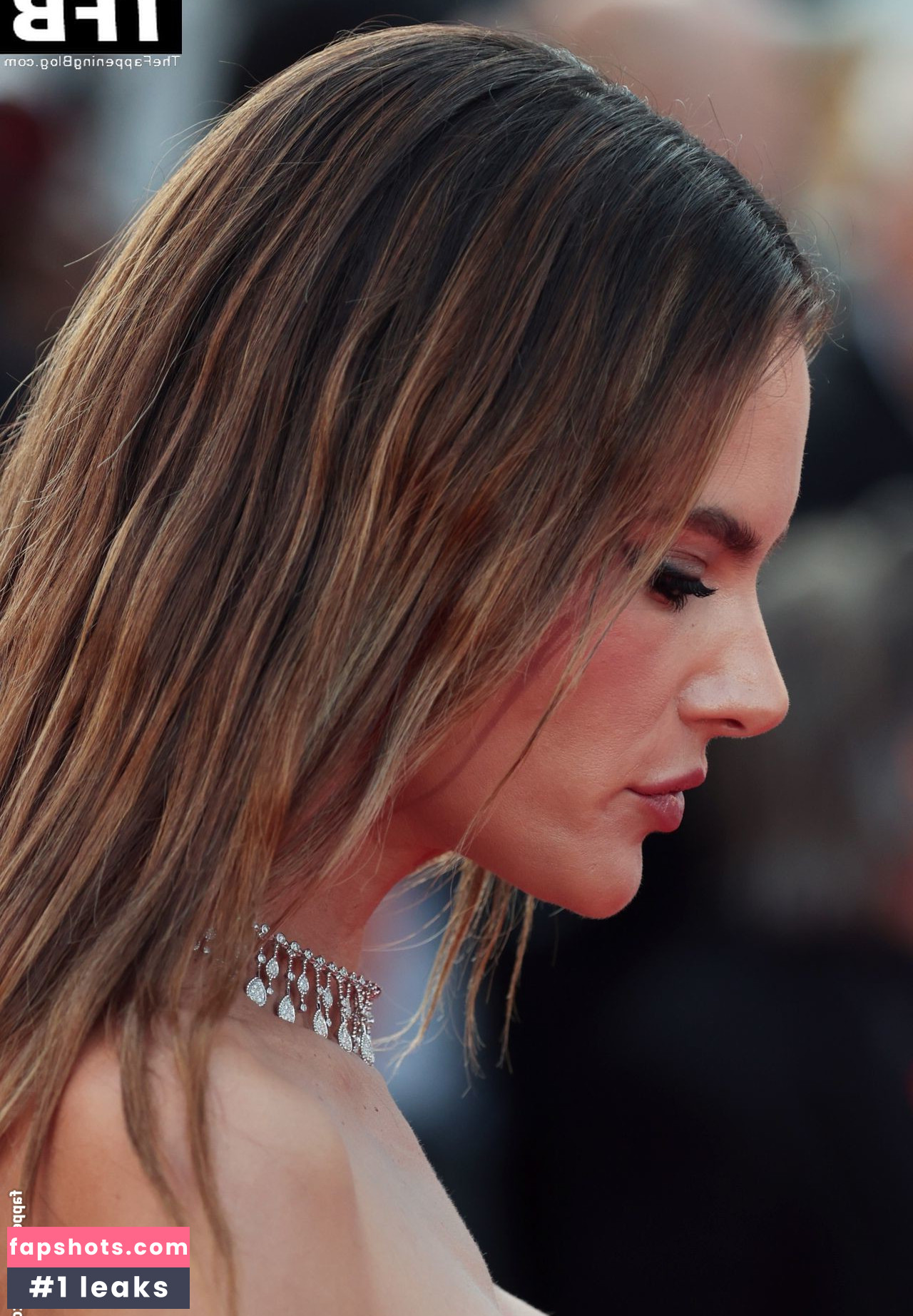 Alessandra Ambrosio gallery photo #1912