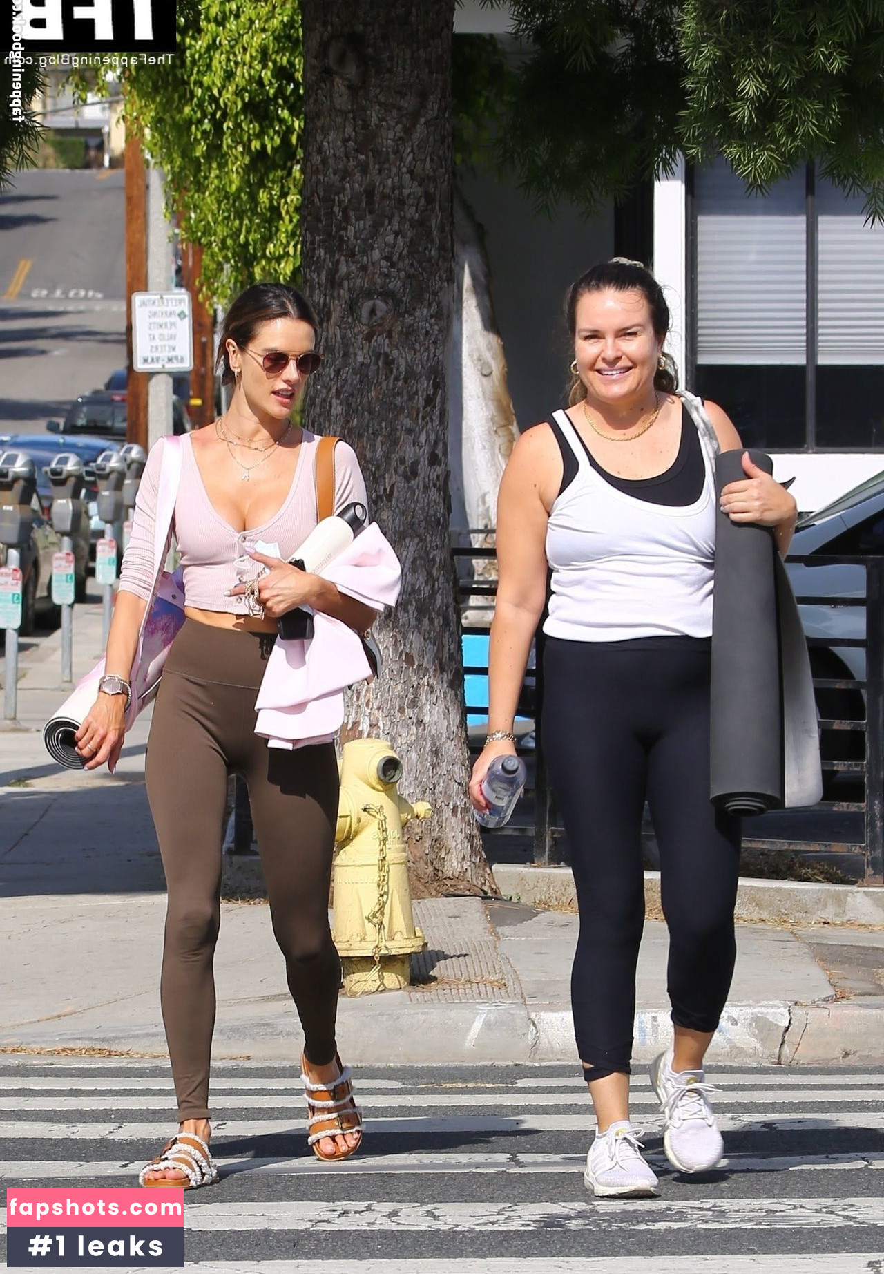 Alessandra Ambrosio gallery photo #2094