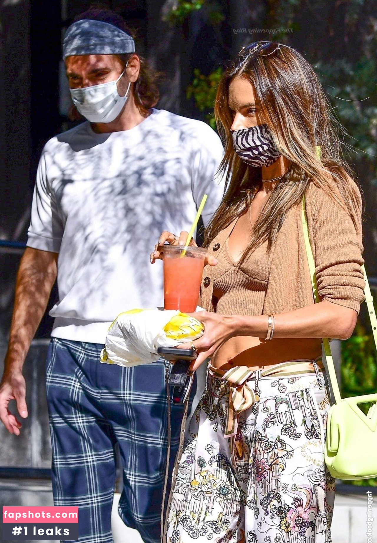 Alessandra Ambrosio gallery photo #2868