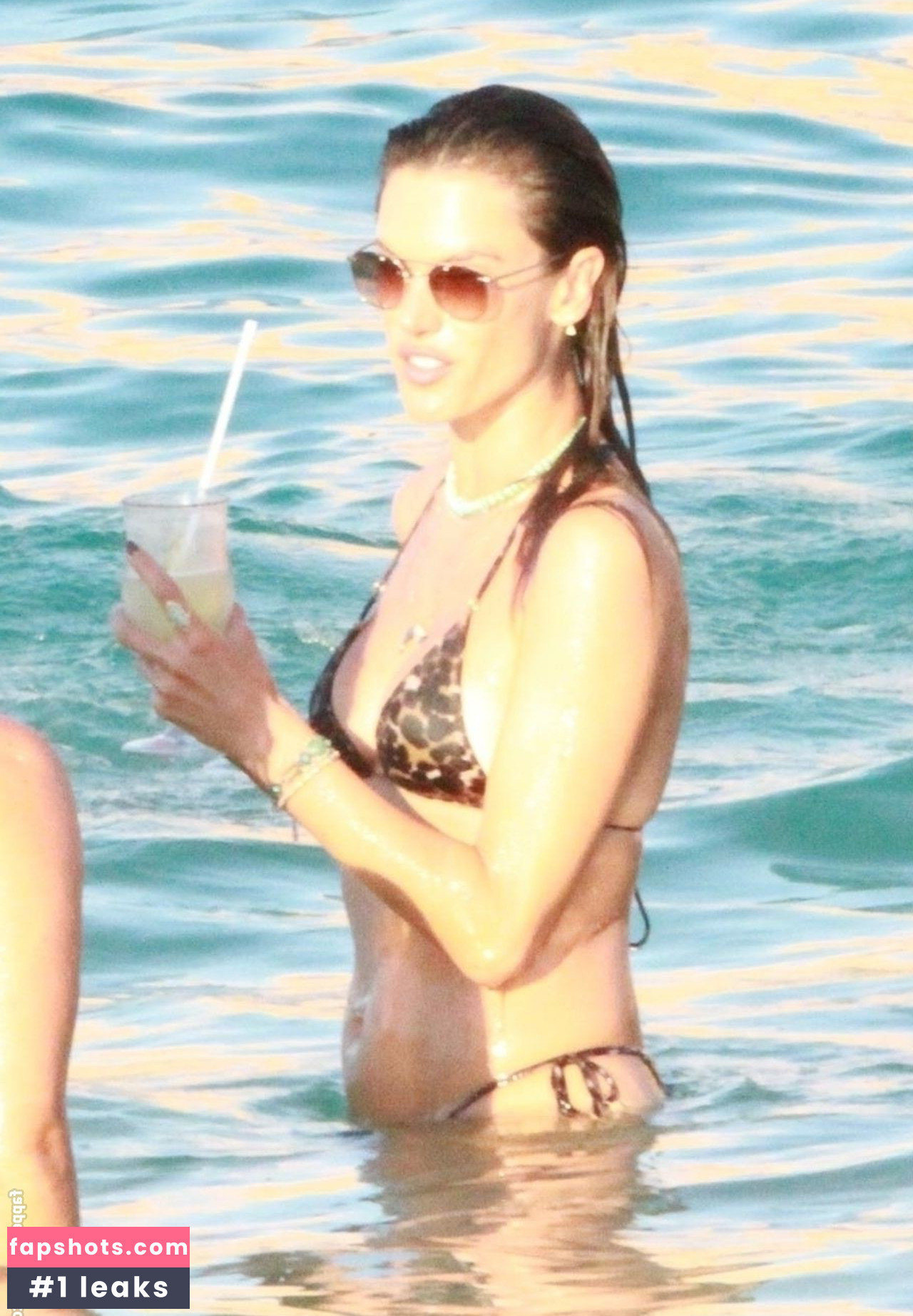 Alessandra Ambrosio gallery photo #3210