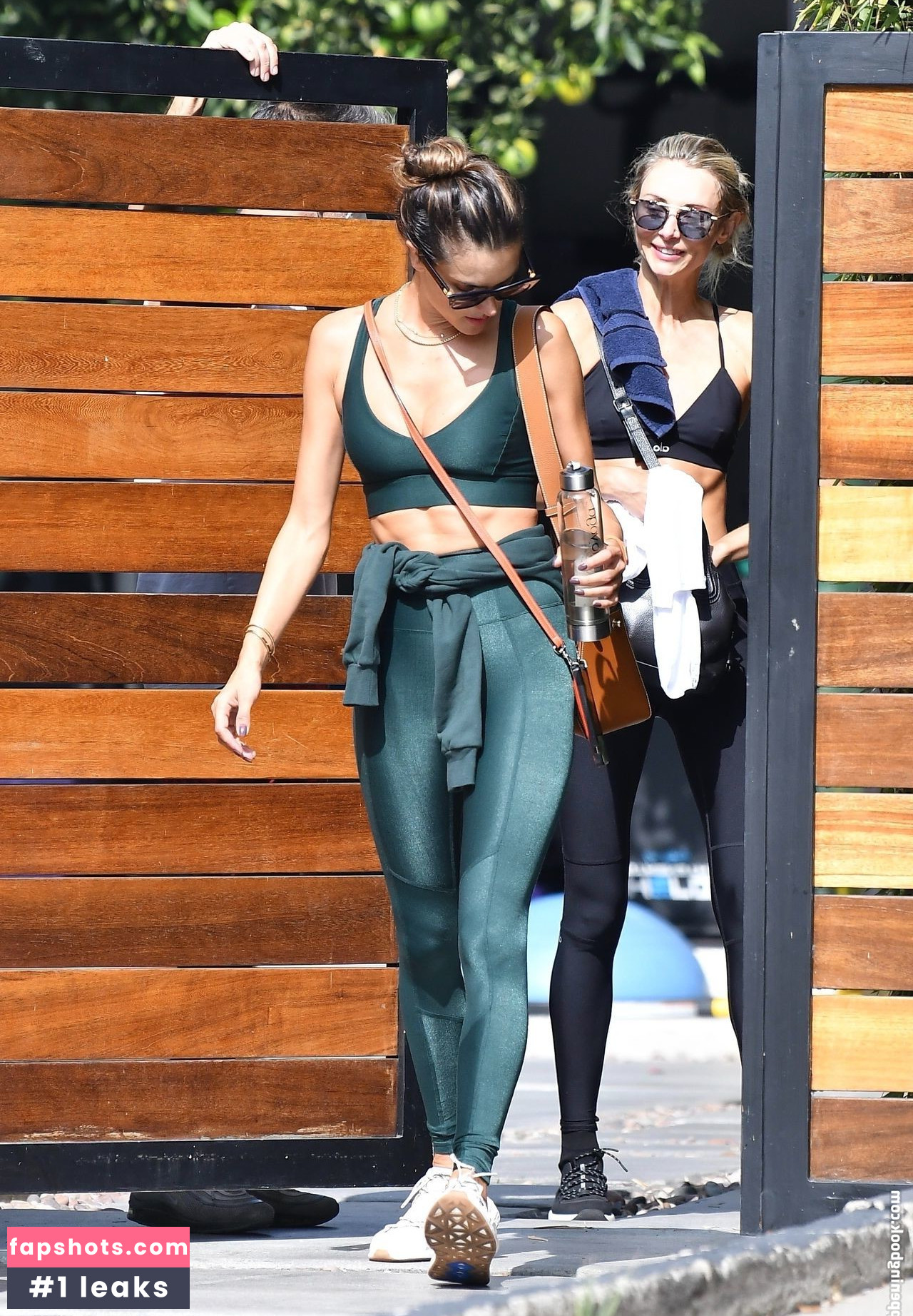 Alessandra Ambrosio gallery photo #3280