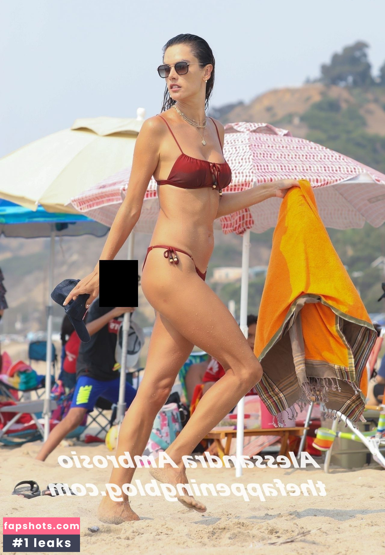 Alessandra Ambrosio gallery photo #3408