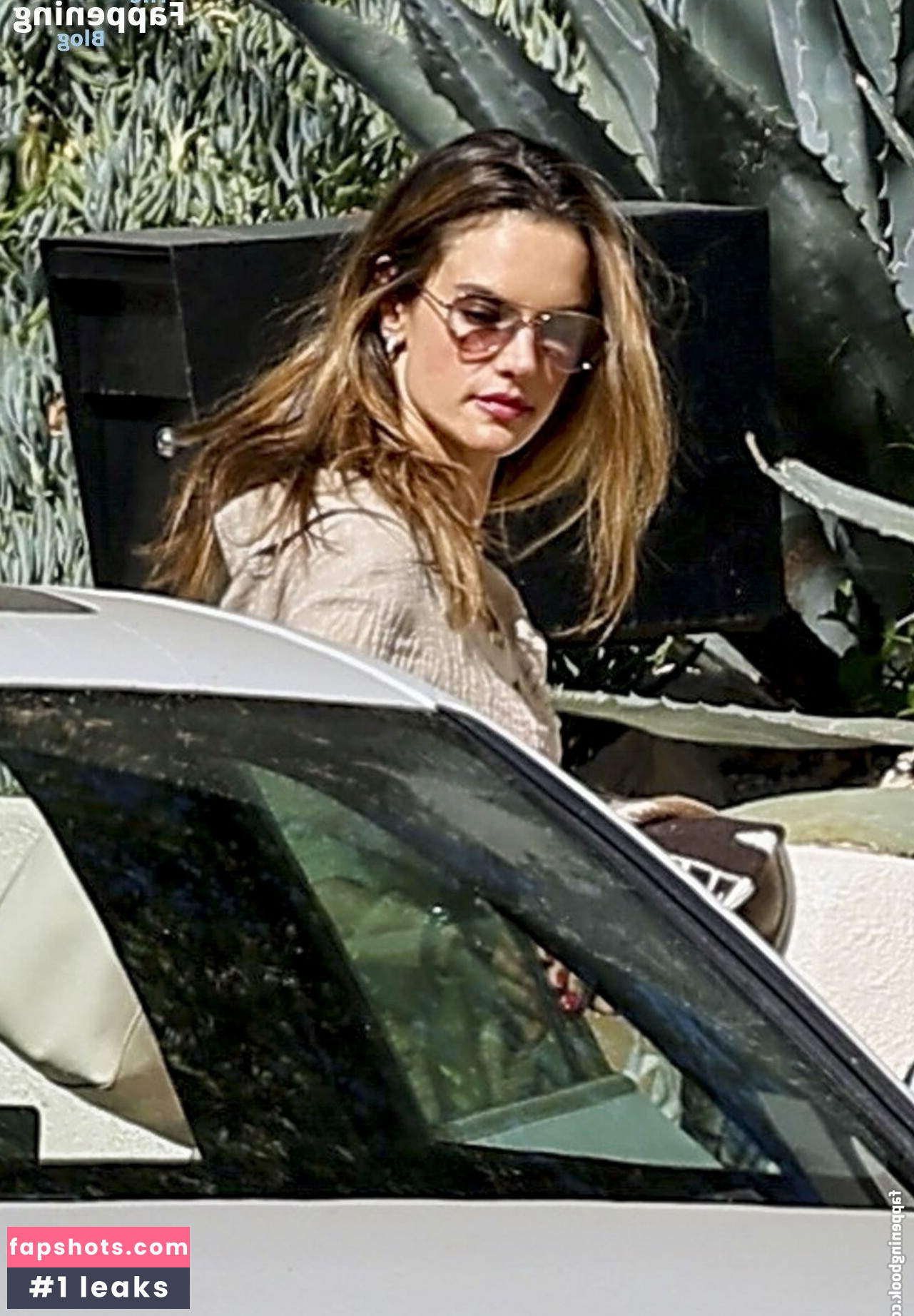 Alessandra Ambrosio gallery photo #558