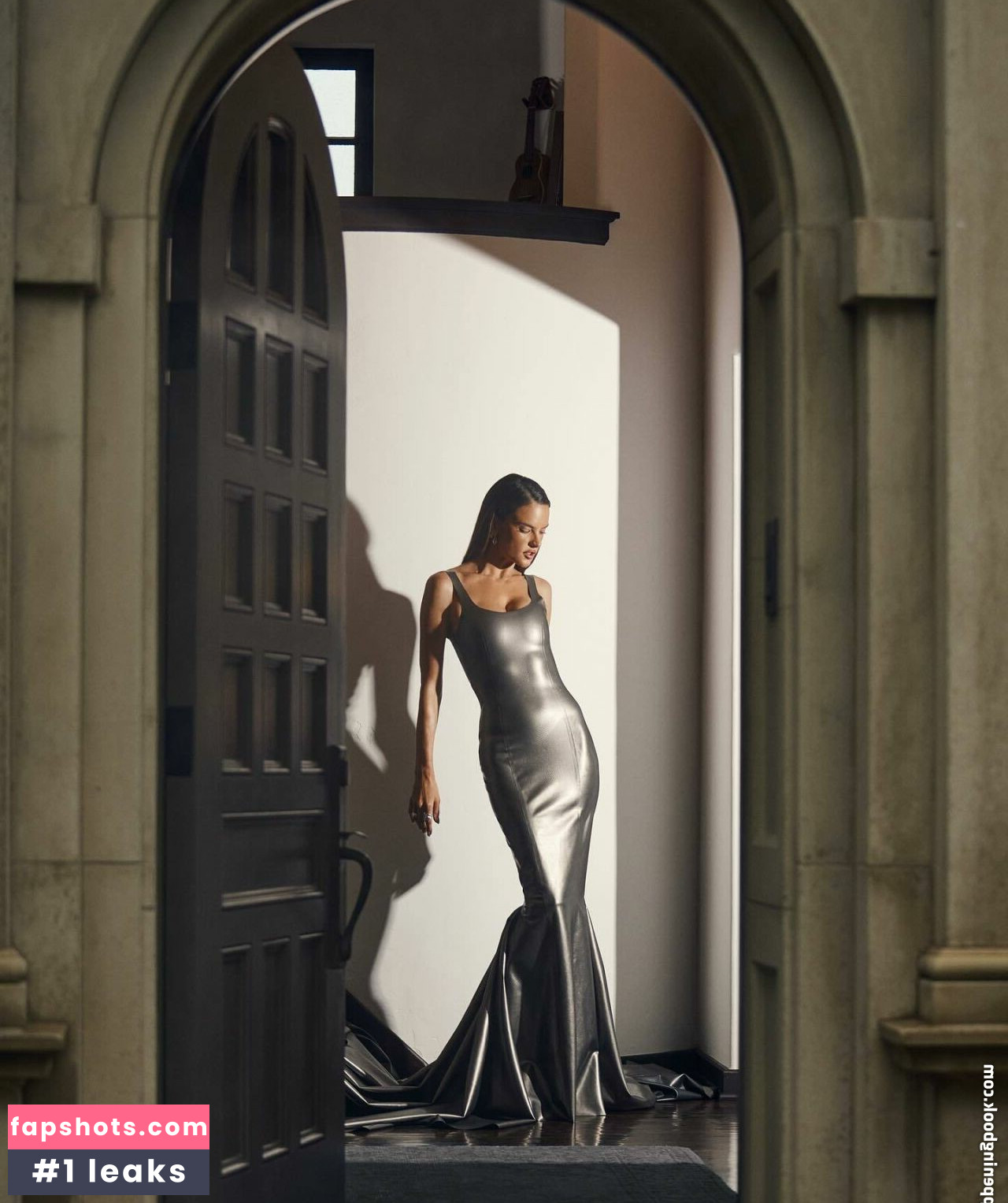 Alessandra Ambrosio gallery photo #663