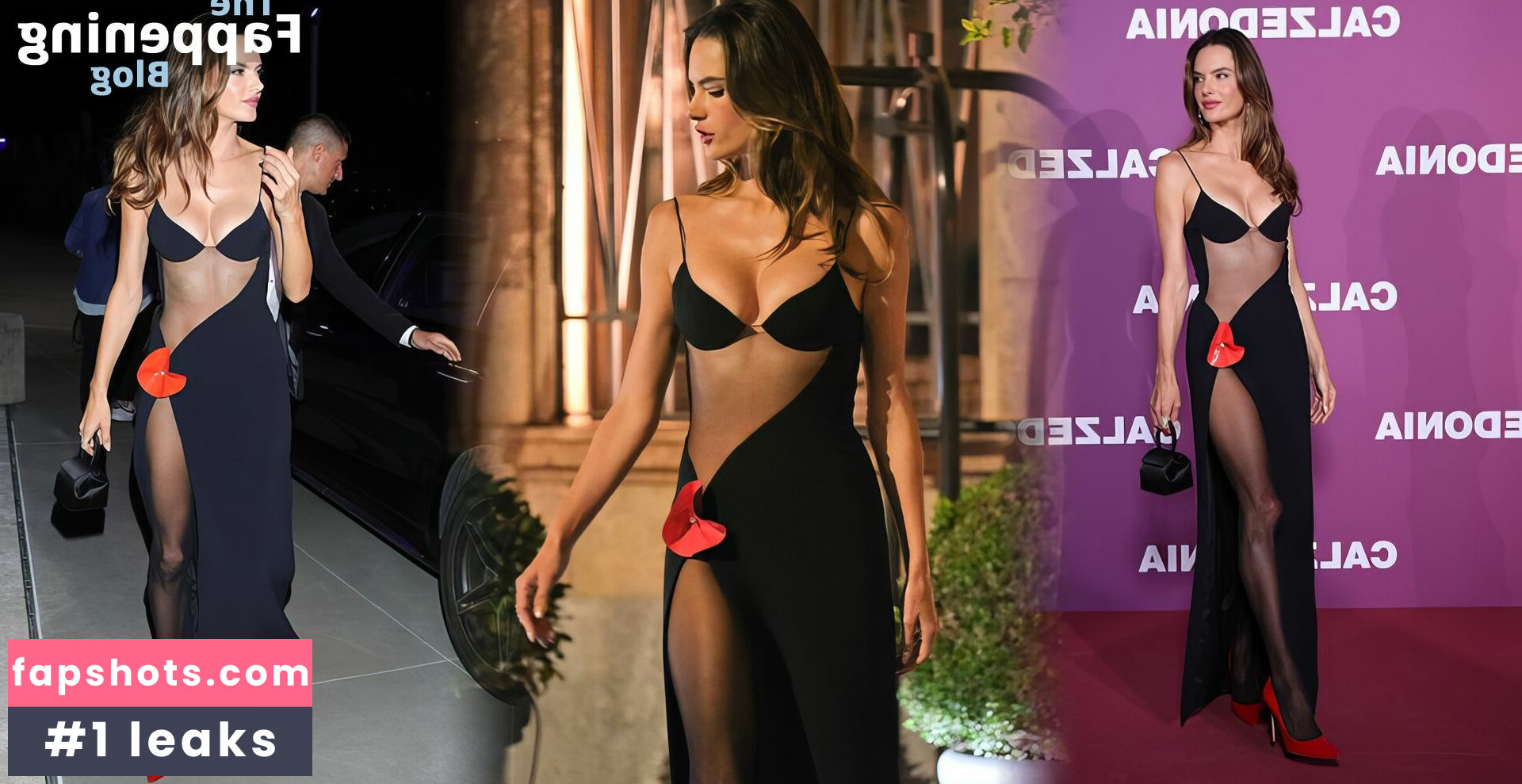 Alessandra Ambrosio gallery photo #836