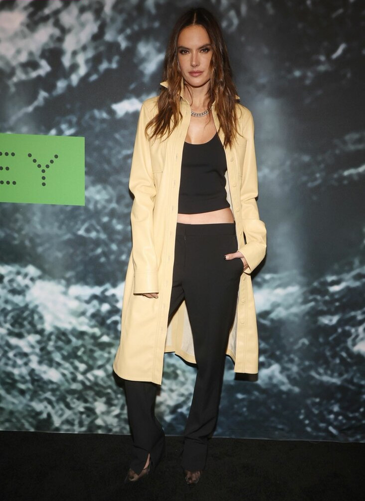 alessandra-ambrosio gallery photo #1883