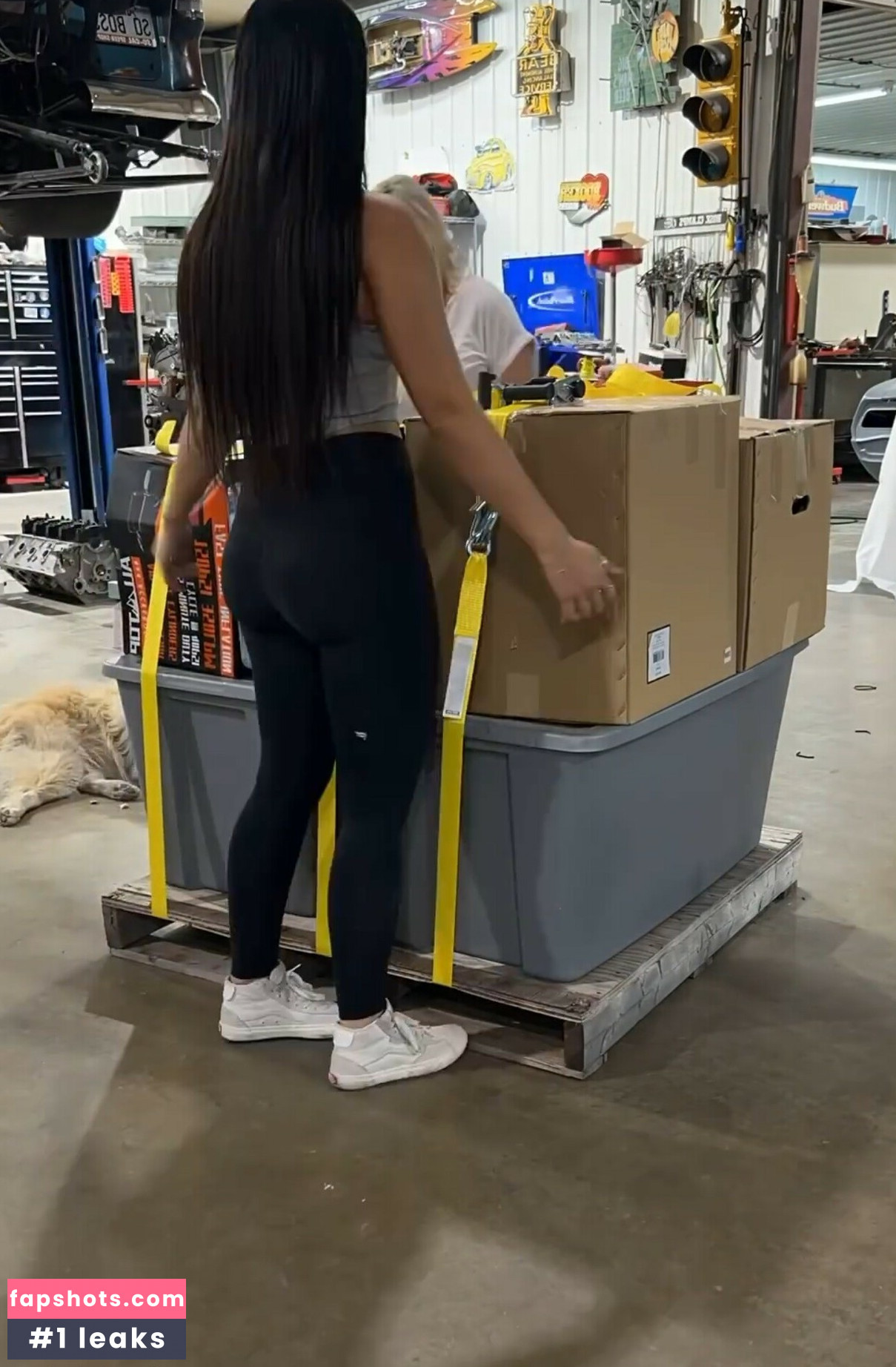 Alex Taylor gallery photo #8