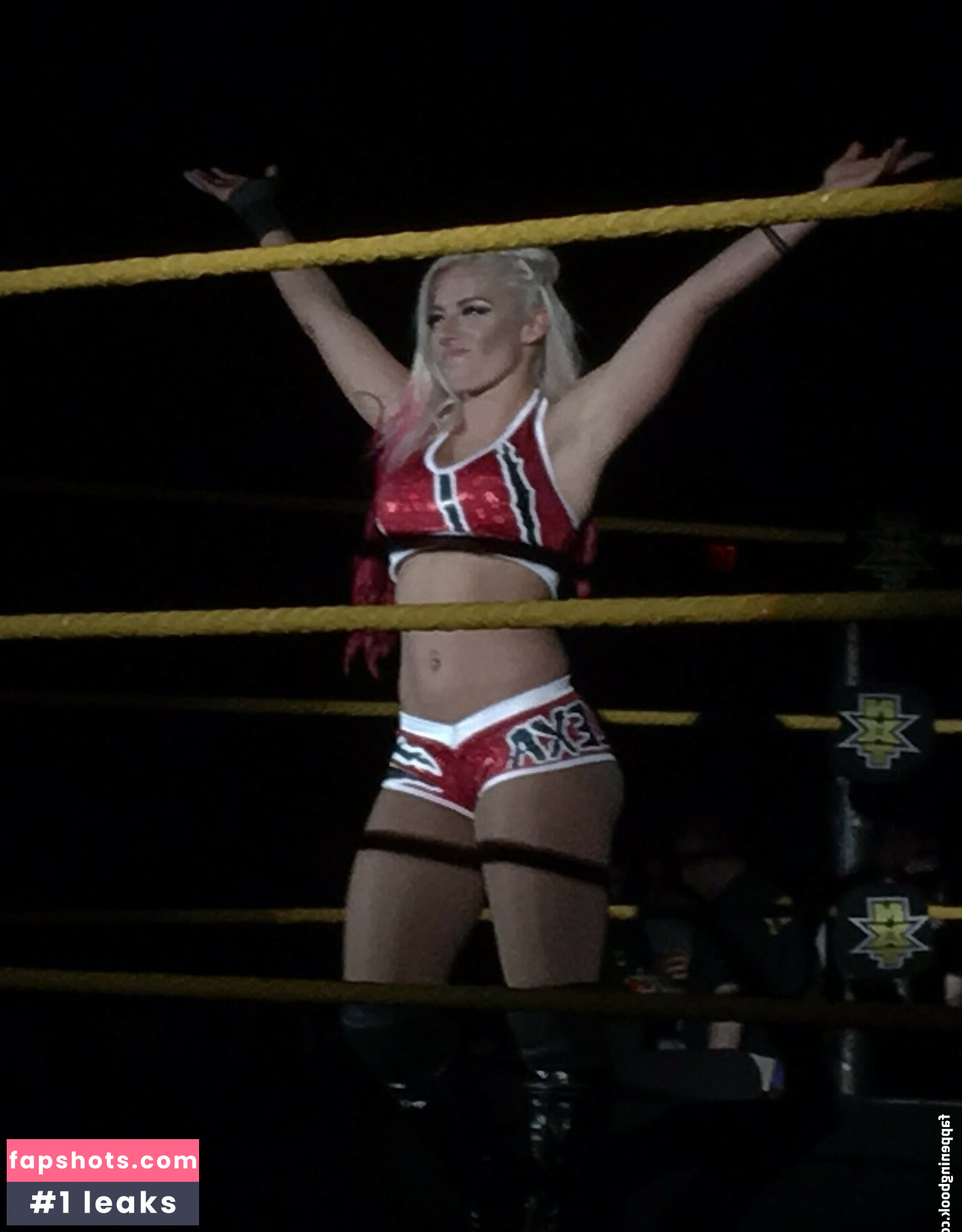 Alexa Bliss Nude Leaks OnlyFans Photos #218 - LeakJerk