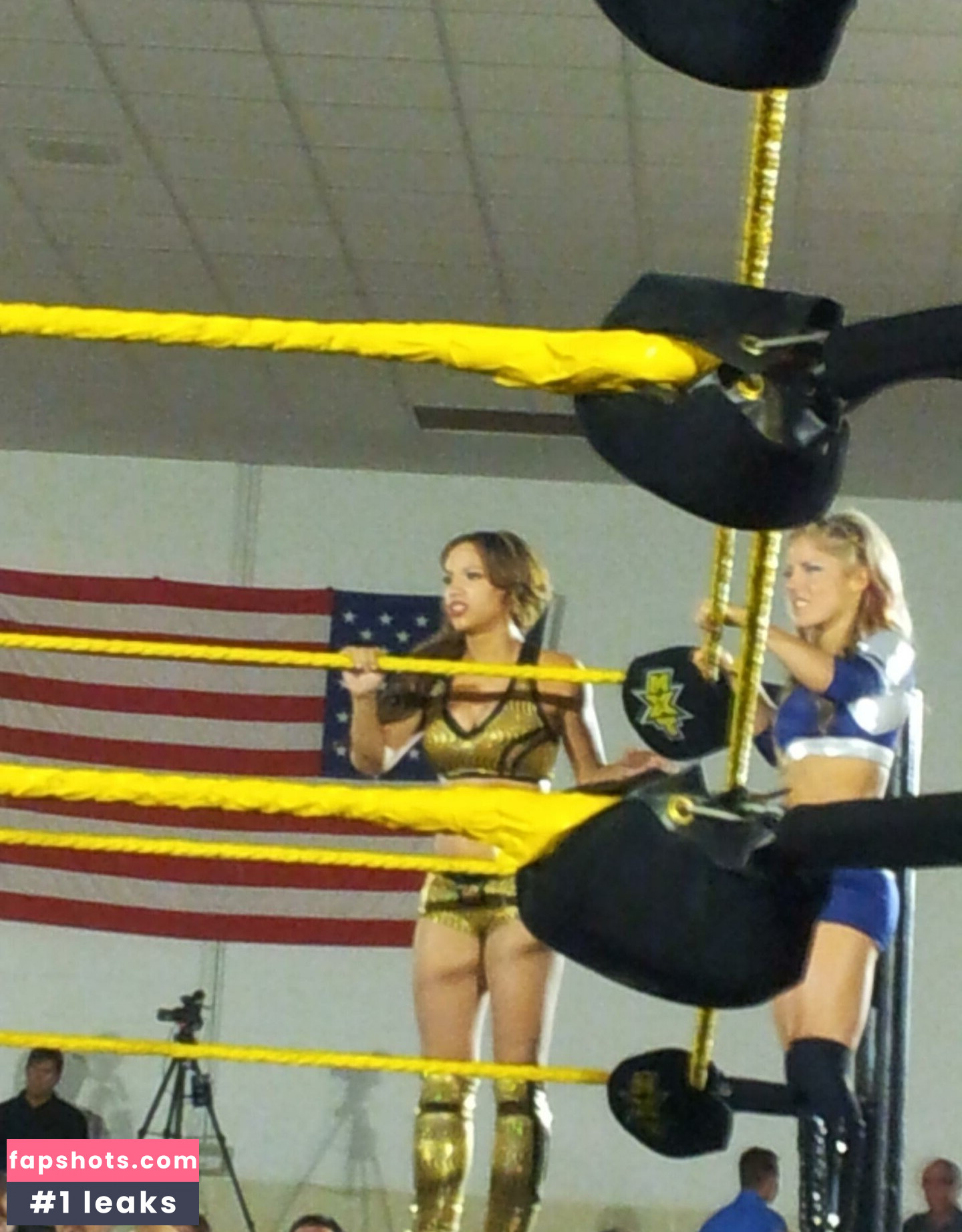 Alexa Bliss Nude Leaks OnlyFans Photos #284 - LeakJerk