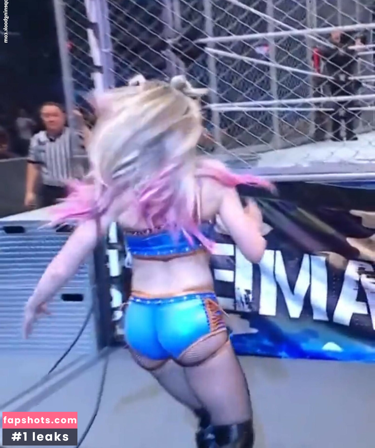 Alexa Bliss Nude Leaks OnlyFans Photos #289 - LeakJerk