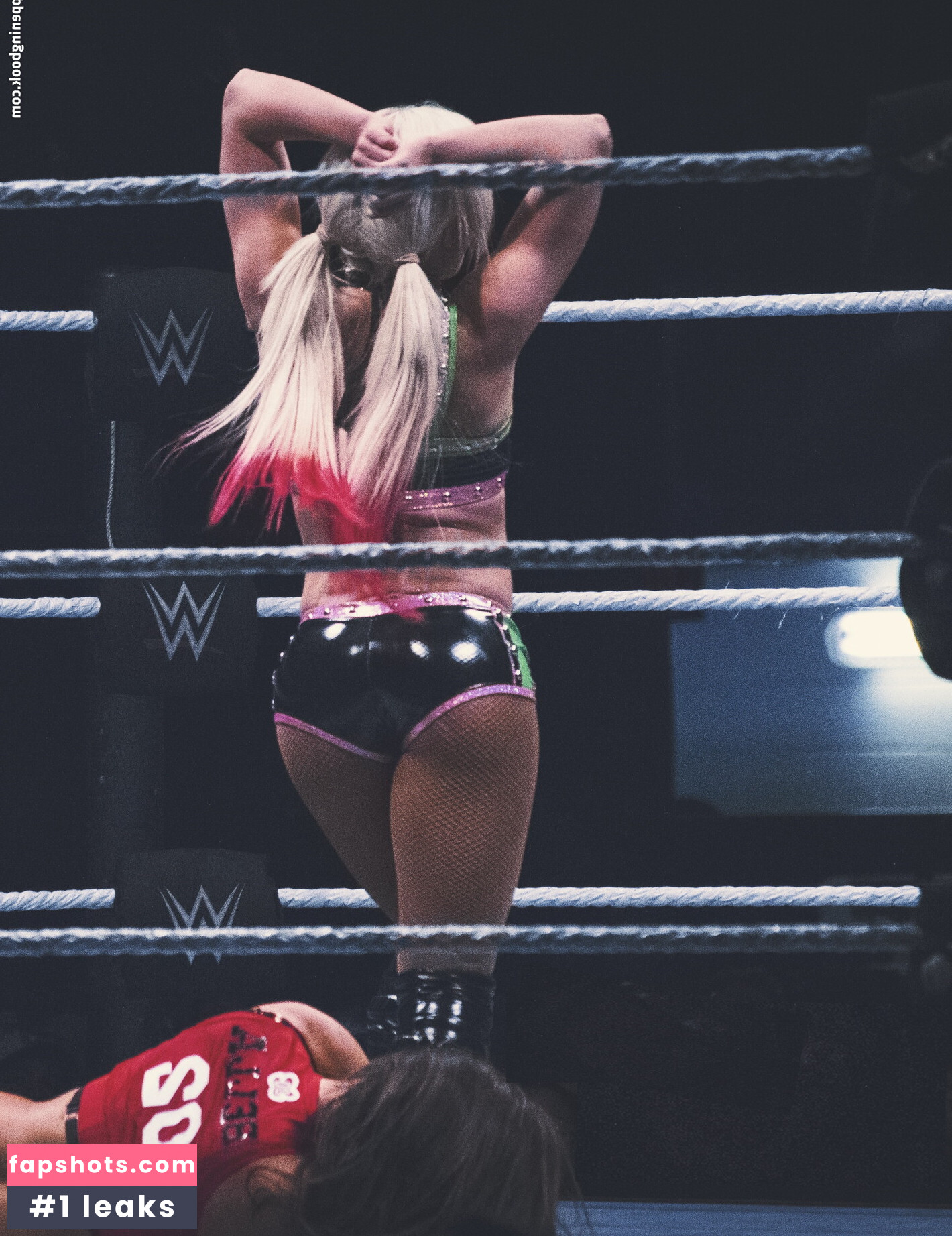 Alexa Bliss Nude Leaks OnlyFans Photos #316 - LeakJerk