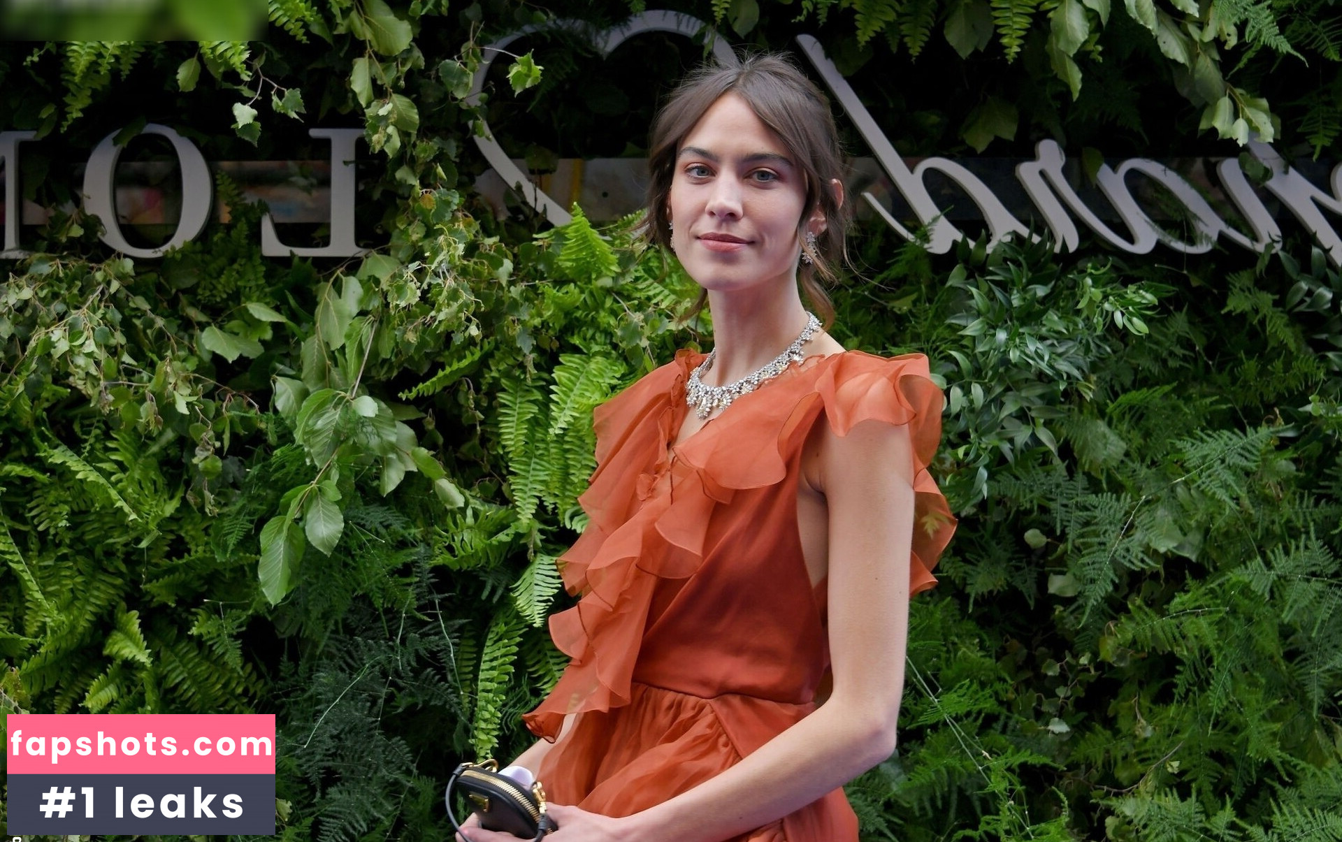 Alexa Chung gallery photo #17