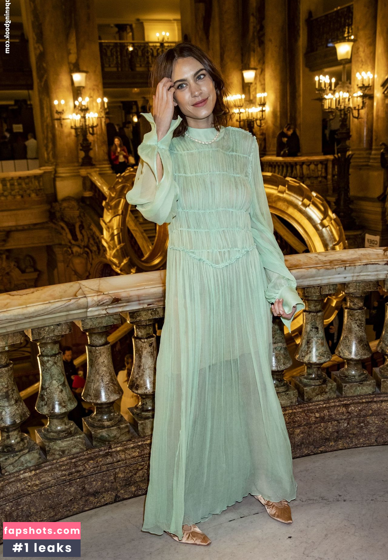 Alexa Chung gallery photo #48