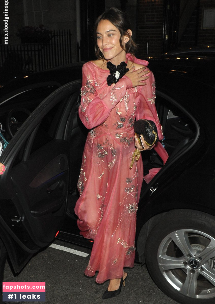 Alexa Chung gallery photo #88