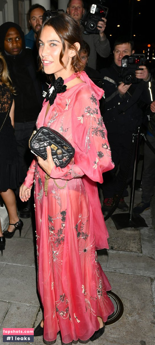 Alexa Chung gallery photo #91