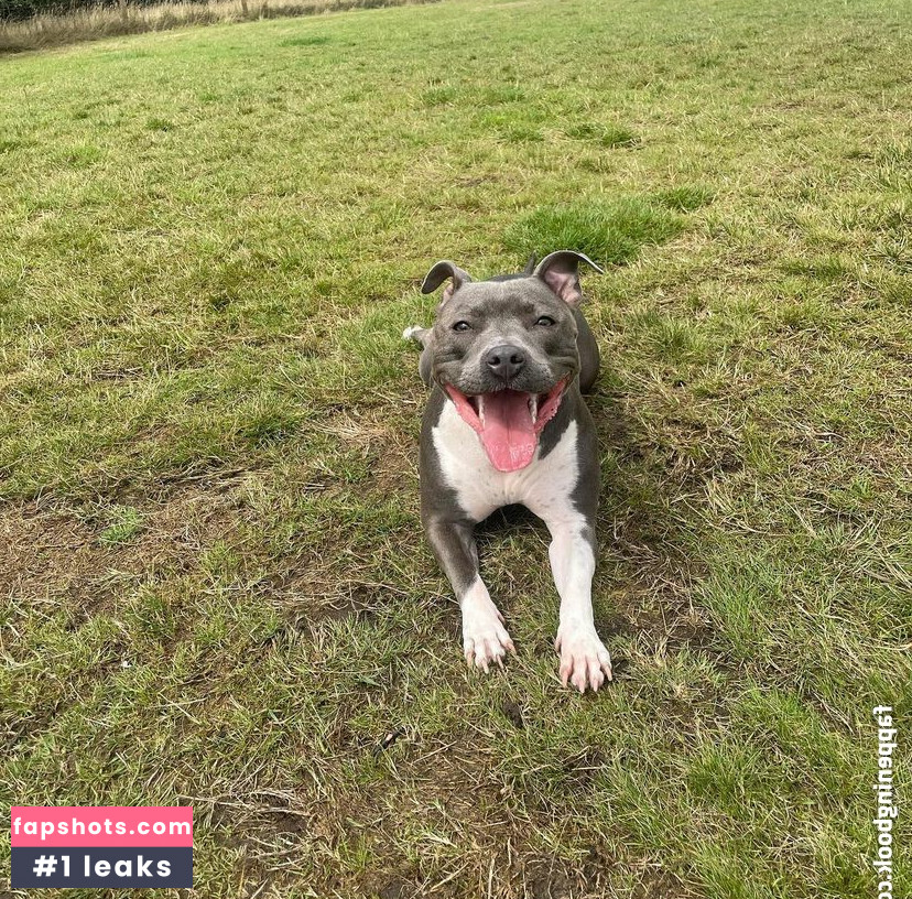 alexabrookexx gallery photo #51