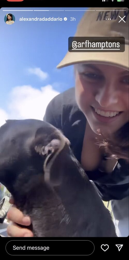 alexandra-daddario gallery photo #1746