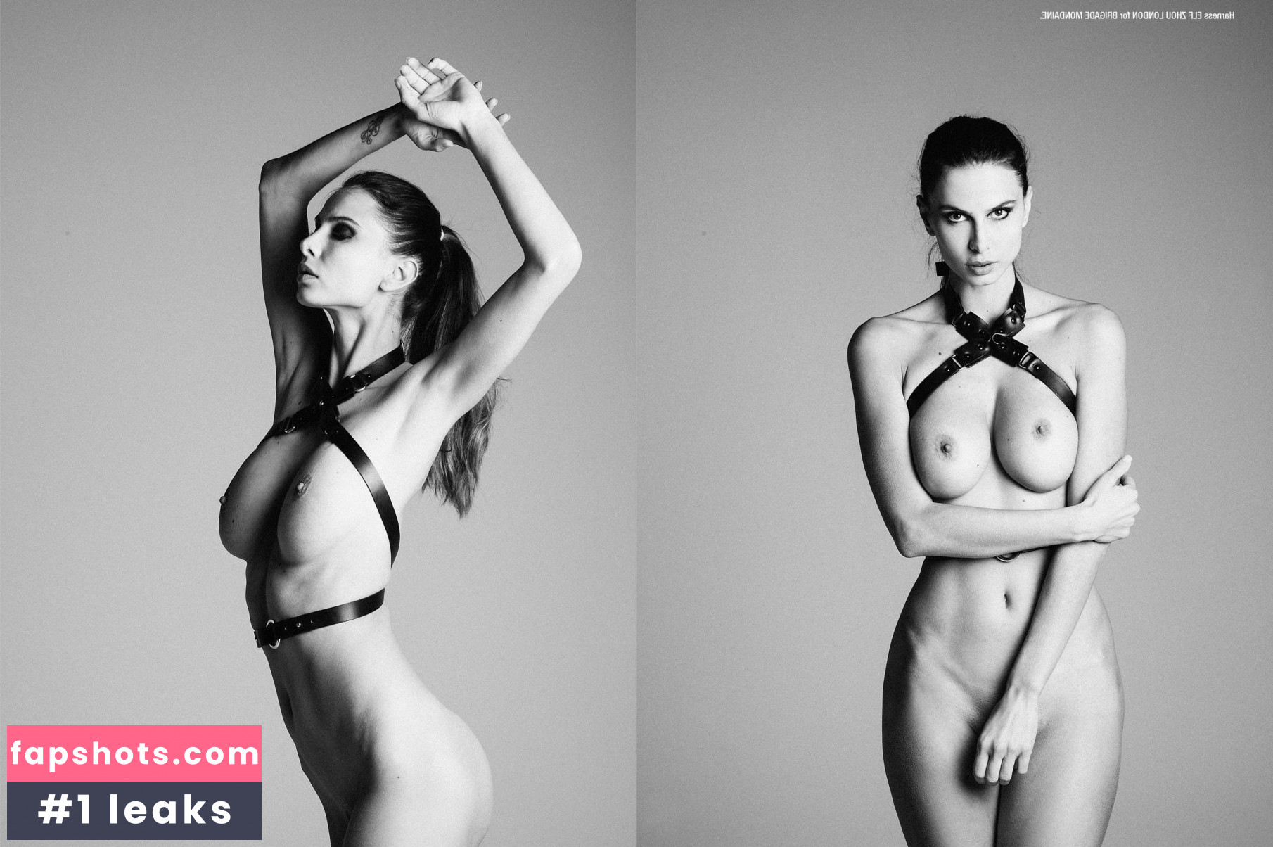 Alexandra Zimny gallery photo #6