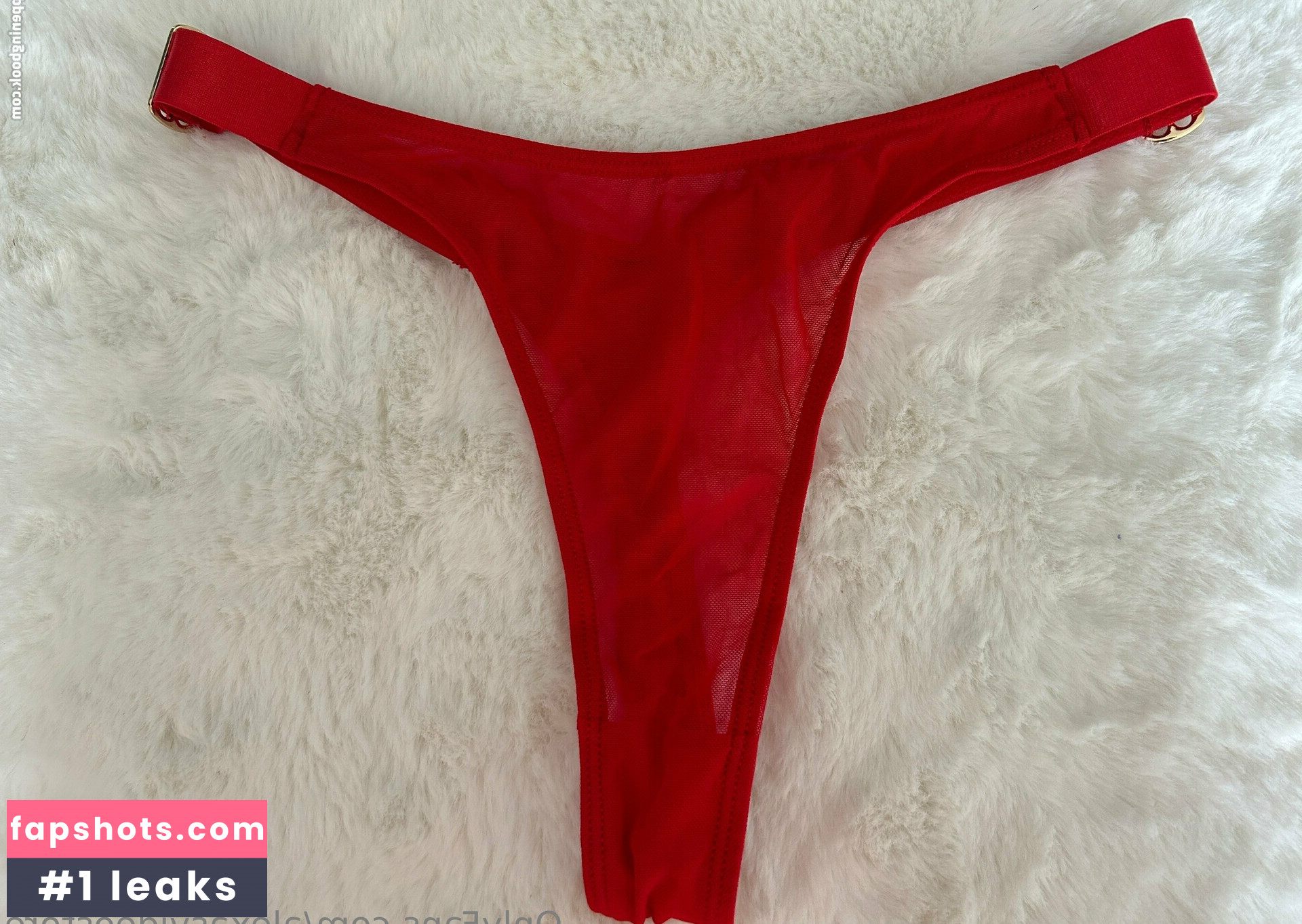 alexasvideostore gallery photo #13