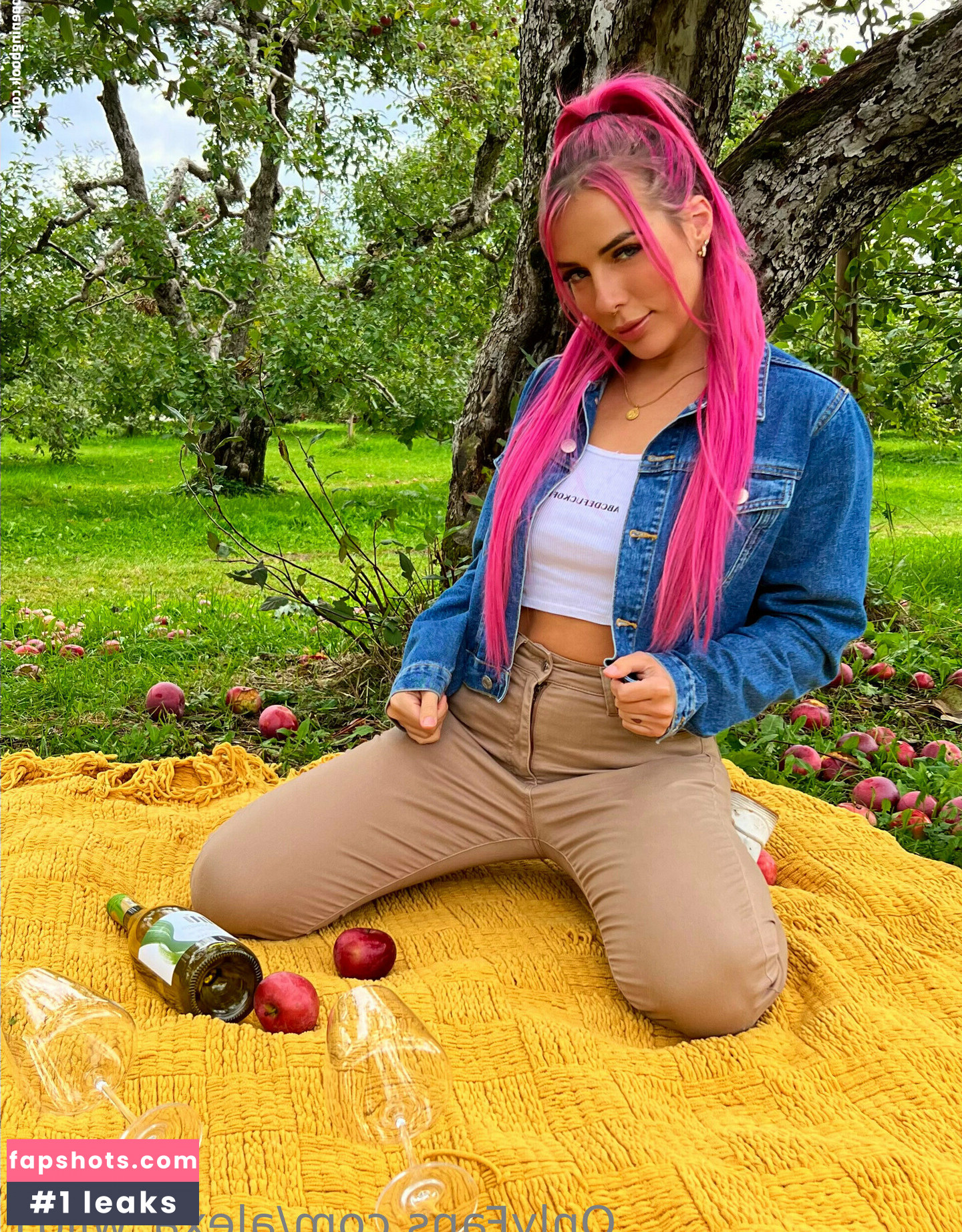 alexawild_vip Nahé úniky fotek pouze od fanoušků #43 - Fapshots