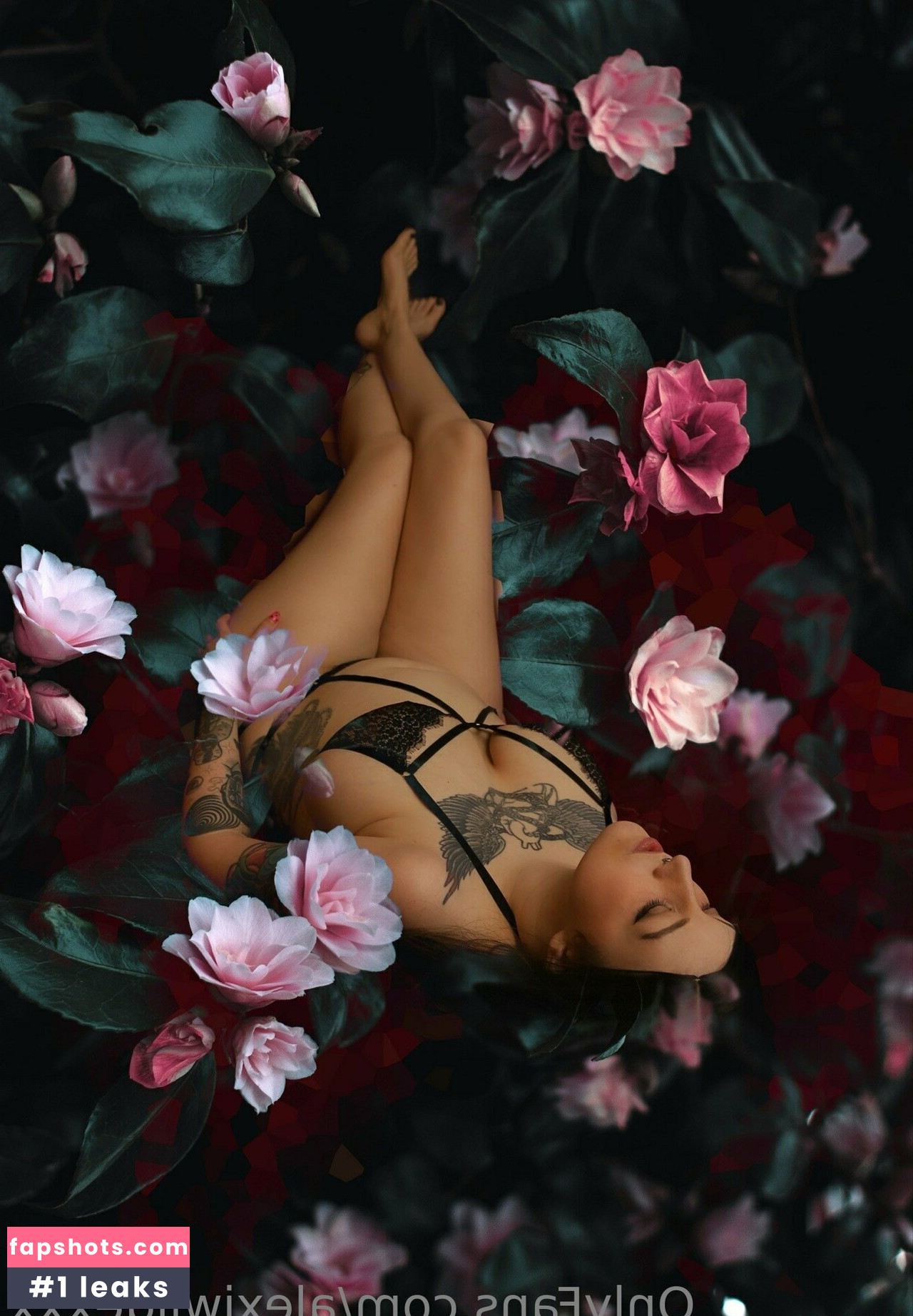 alexiwildexxx gallery photo #23