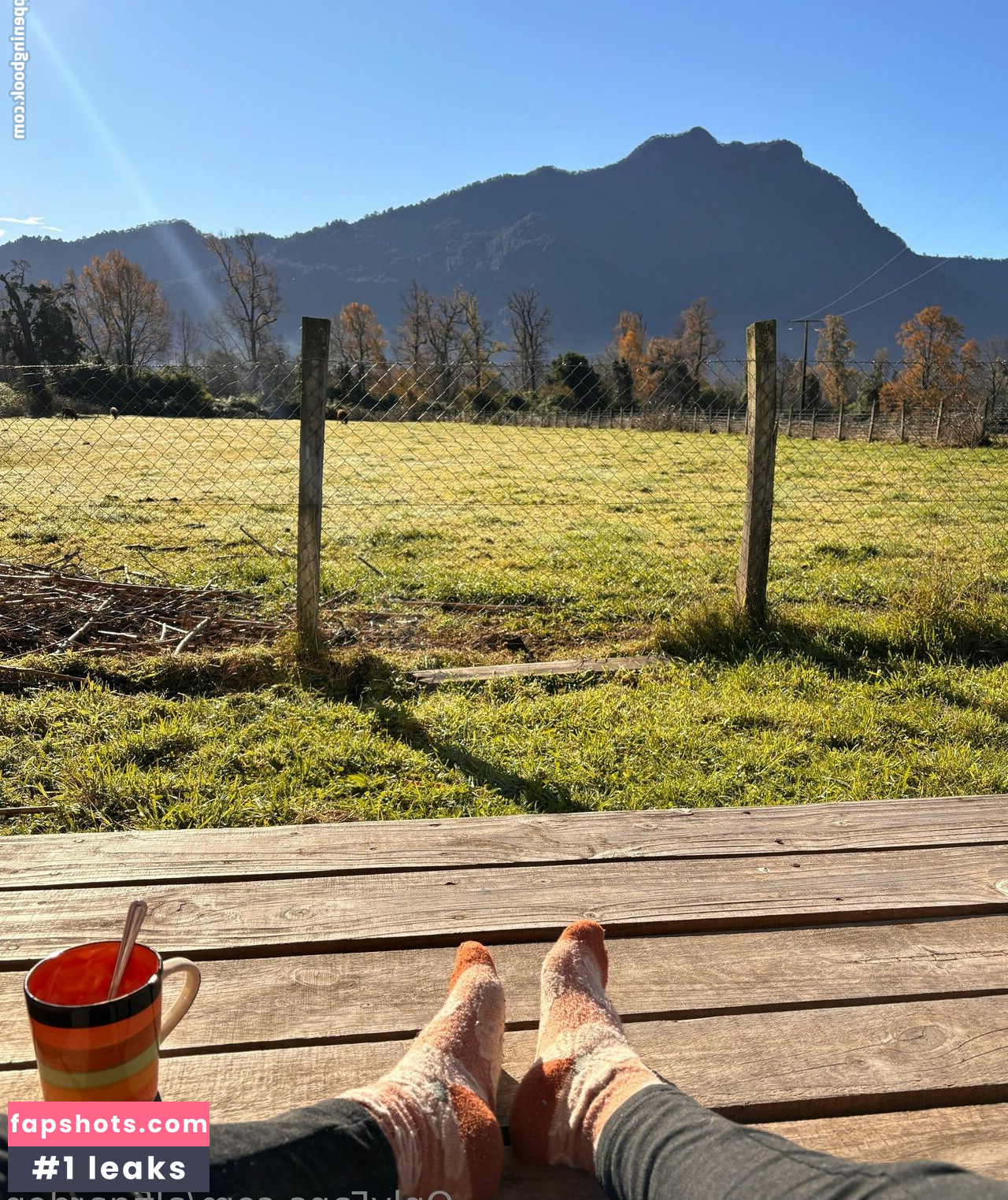 Alfigarden gallery photo #9