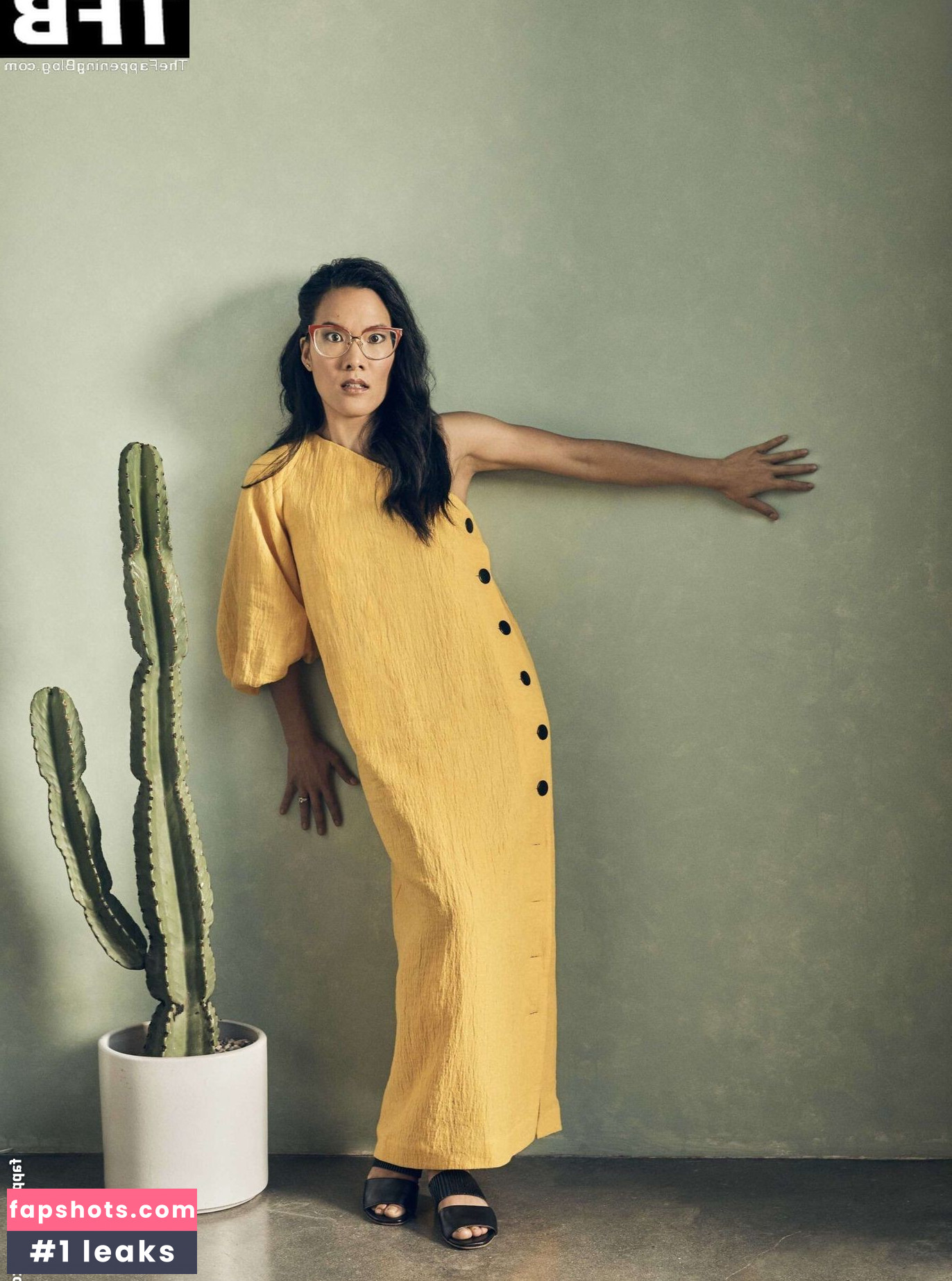 Ali Wong Nude Leaks OnlyFans Photos #40 - LeakJerk