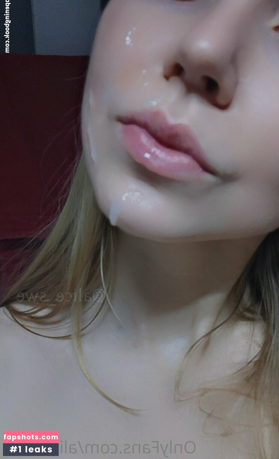 alice_swe Nude Leaks OnlyFans Photos #52 - Fapshots