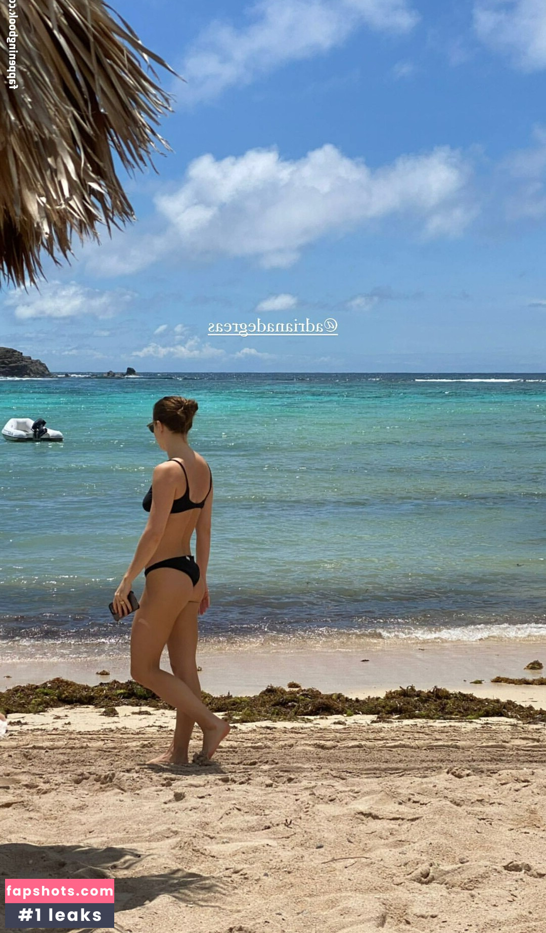 Alice Wegmann gallery photo #72